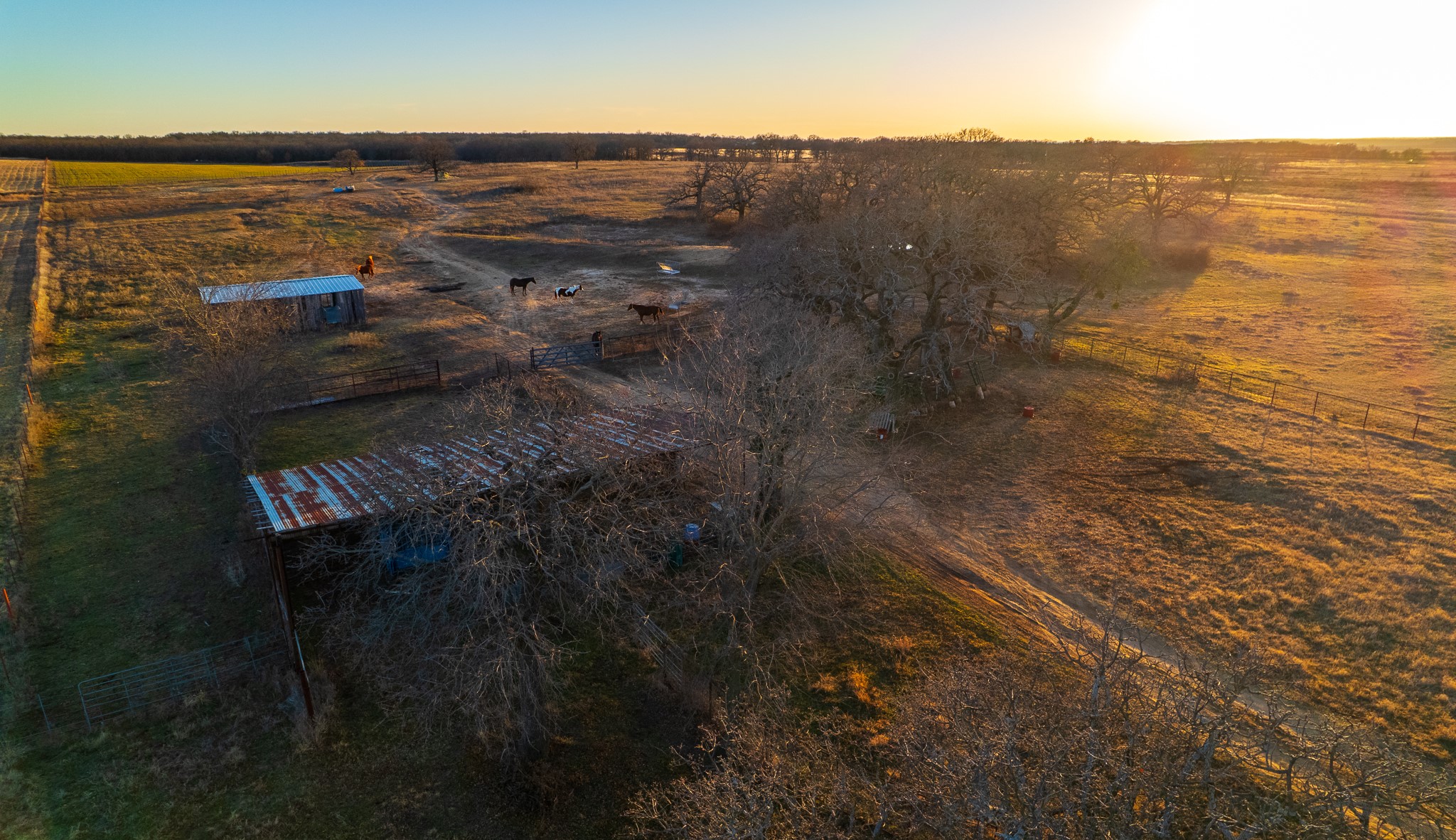 4312 Shawver Road Perrin TX 76486