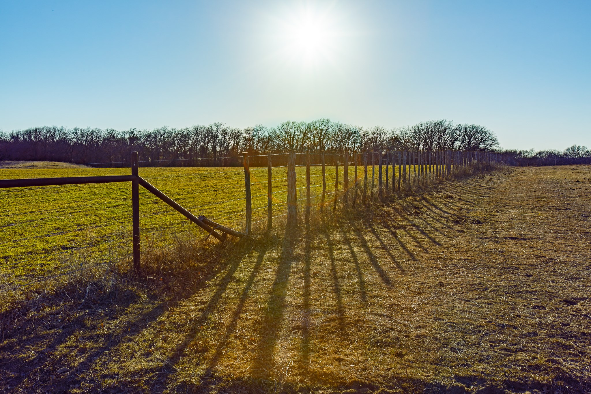 4312 Shawver Road Perrin TX 76486