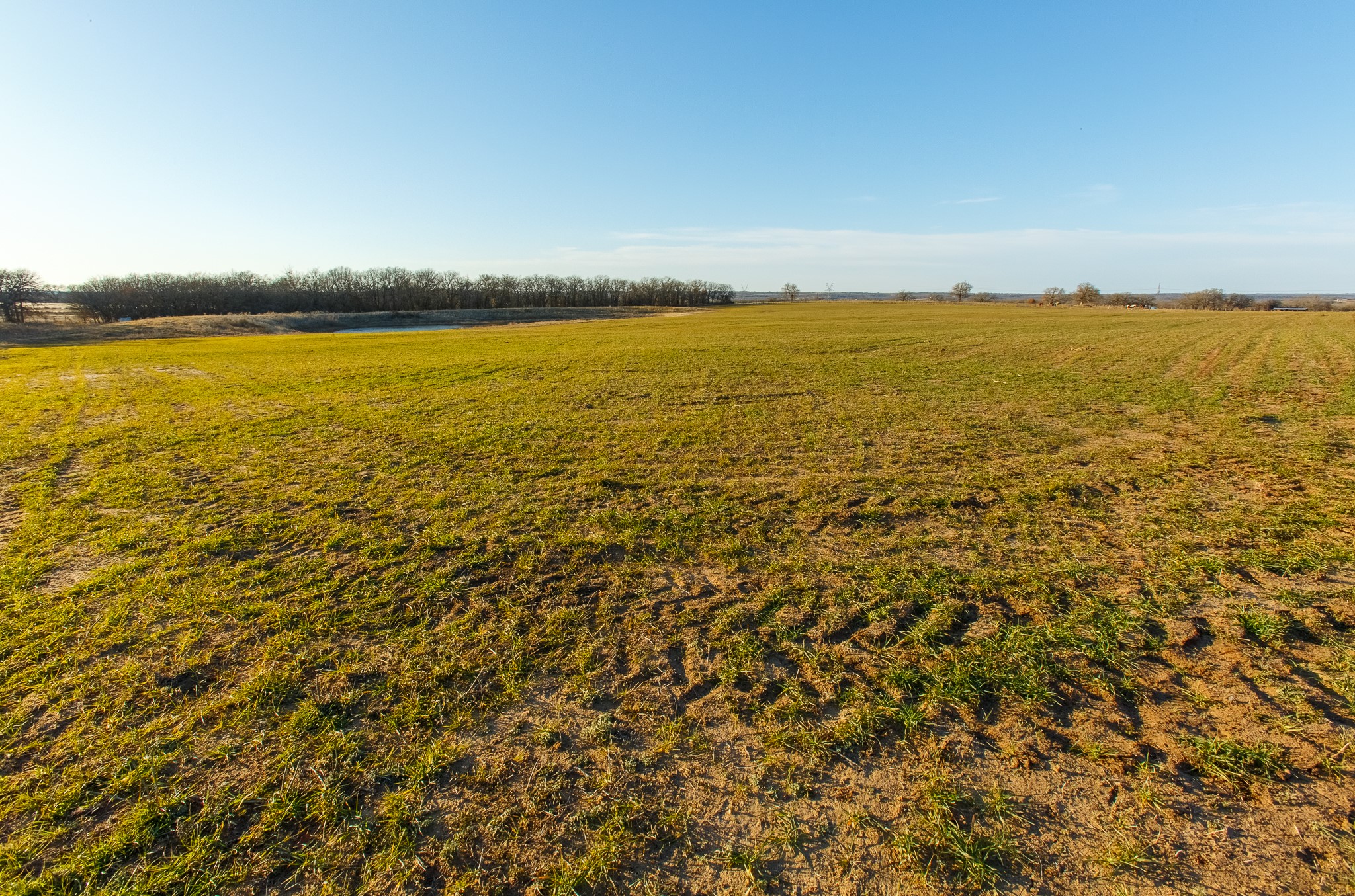 4312 Shawver Road Perrin TX 76486