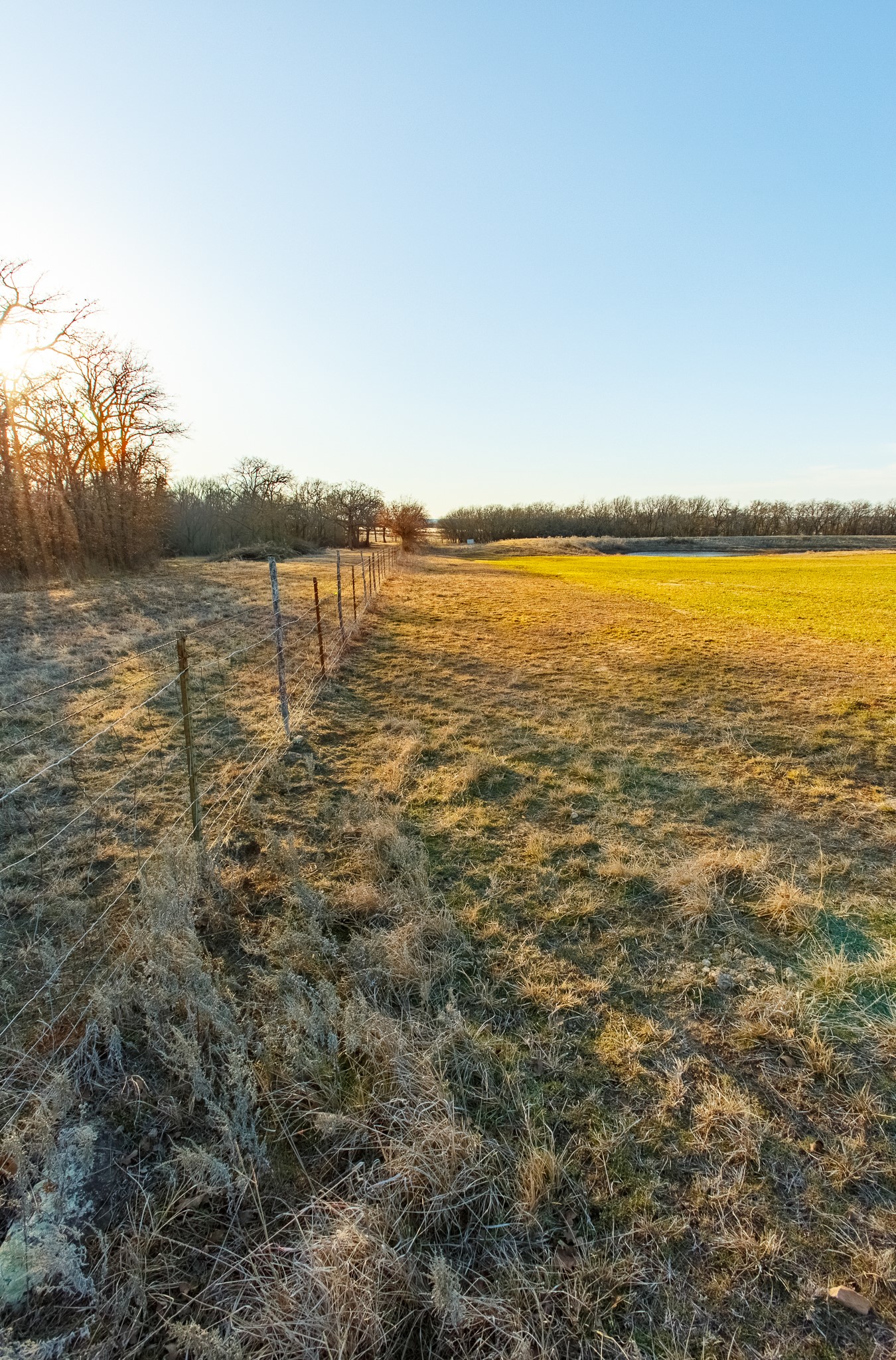 4312 Shawver Road Perrin TX 76486