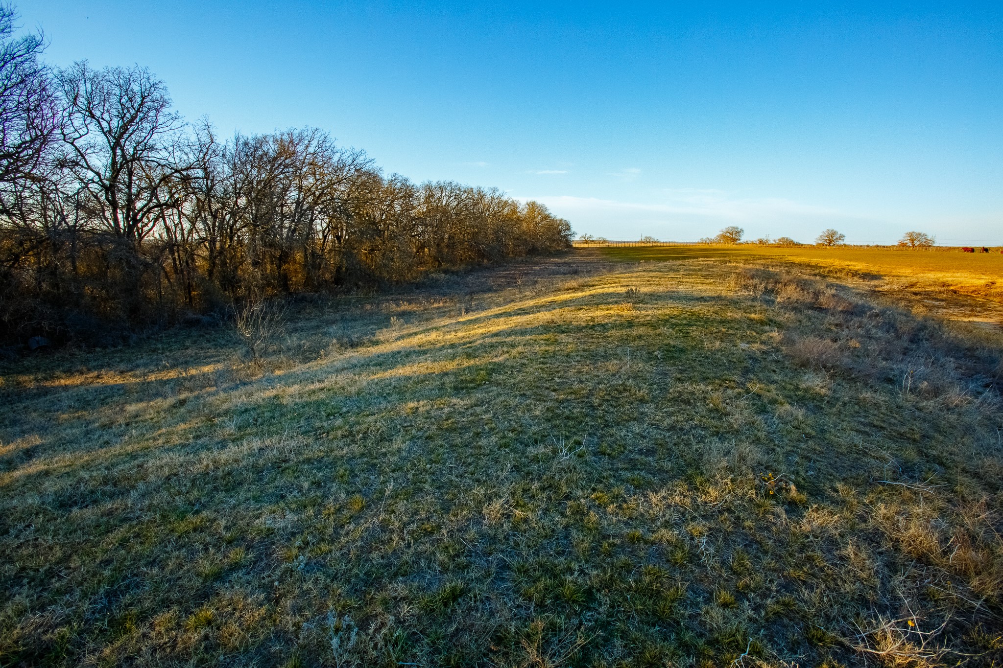 4312 Shawver Road Perrin TX 76486