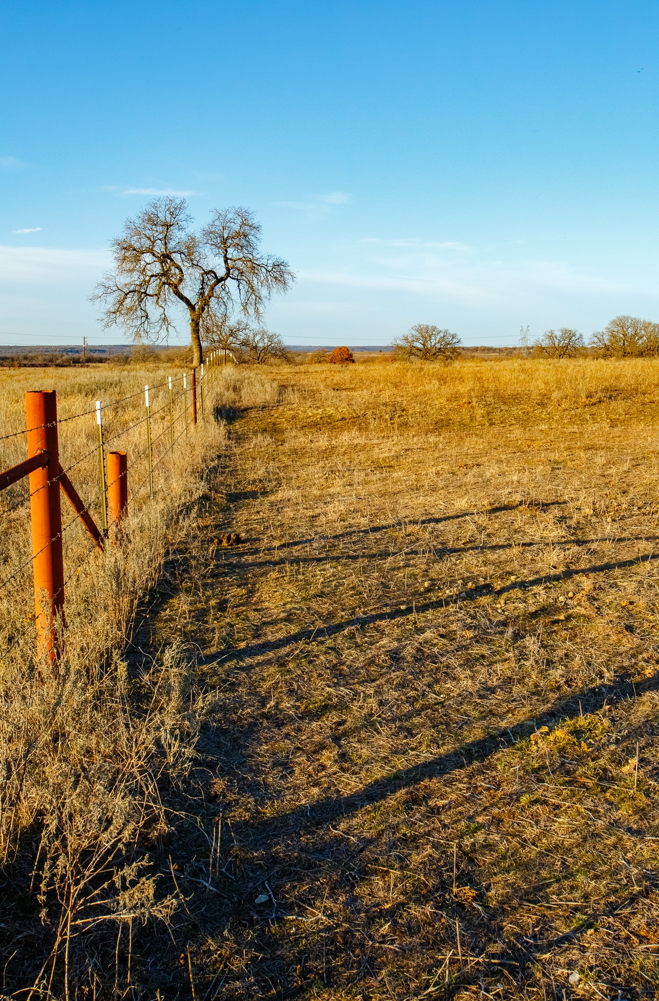 4312 Shawver Road Perrin TX 76486