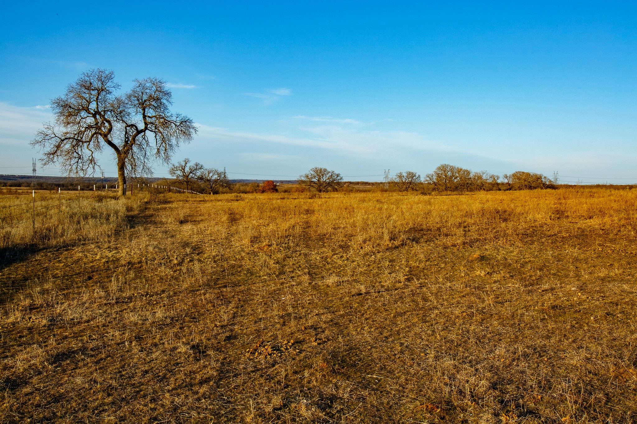 4312 Shawver Road Perrin TX 76486