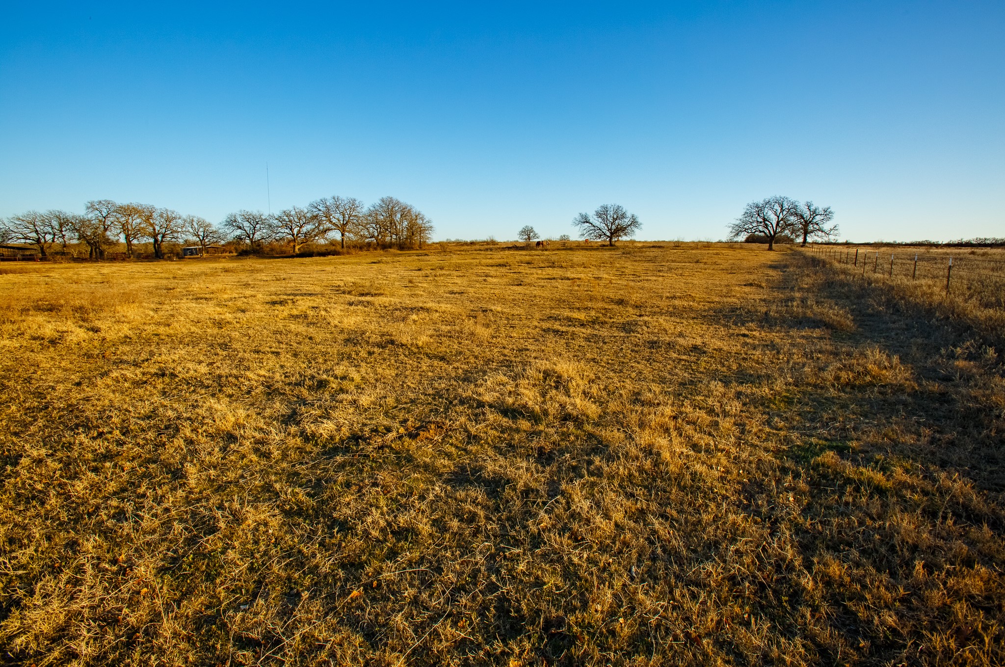 4312 Shawver Road Perrin TX 76486