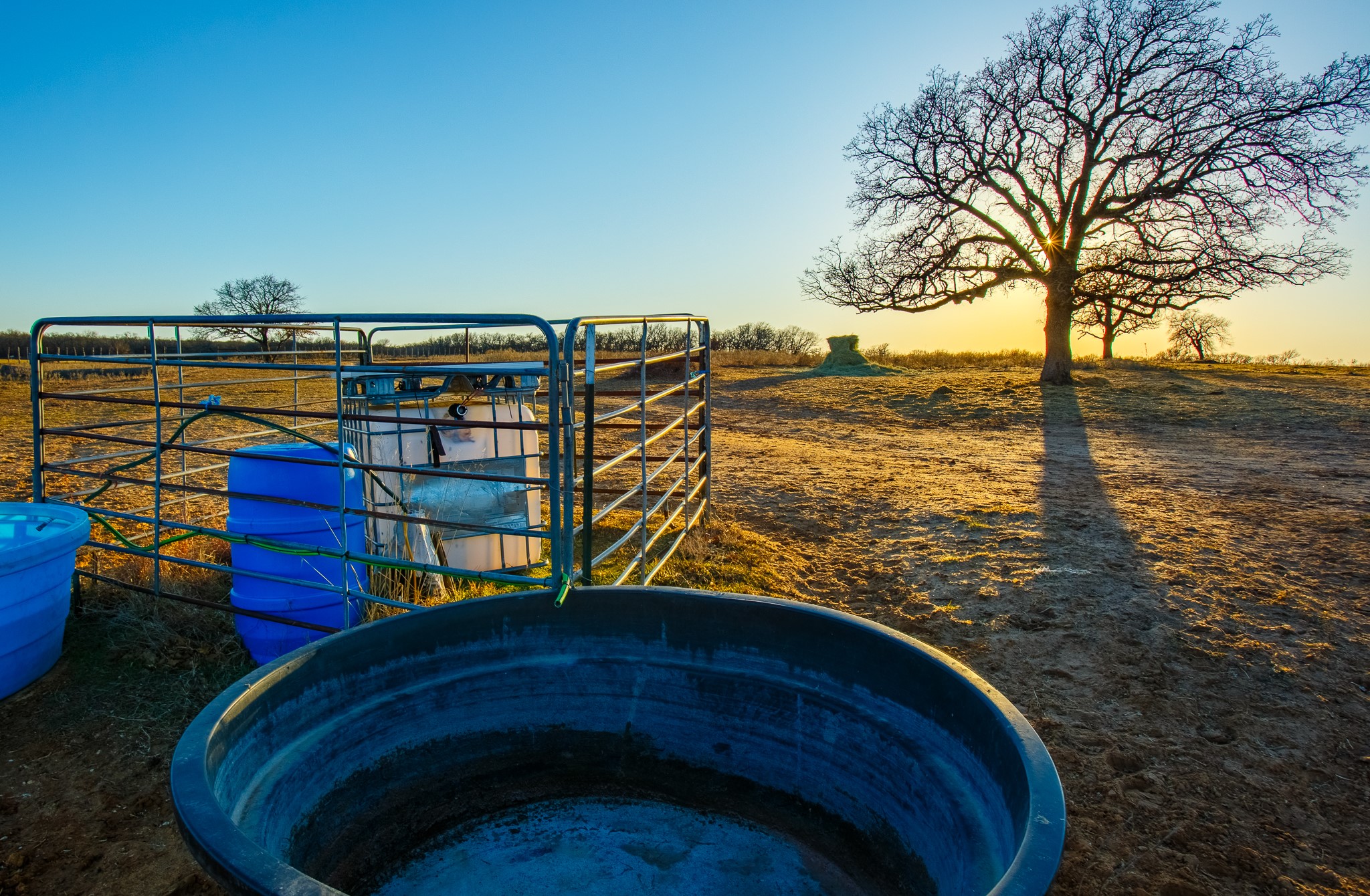 4312 Shawver Road Perrin TX 76486