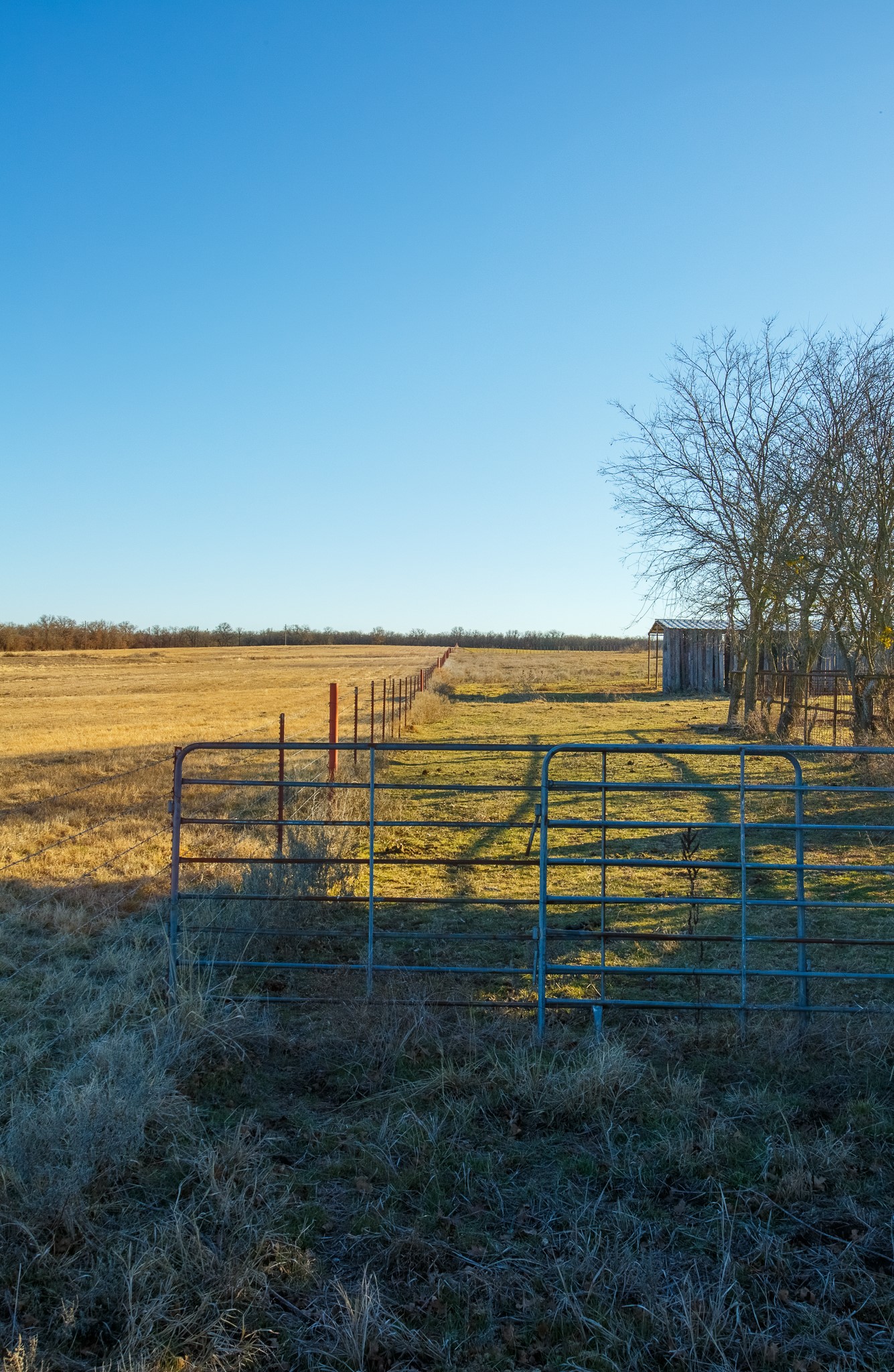 4312 Shawver Road Perrin TX 76486