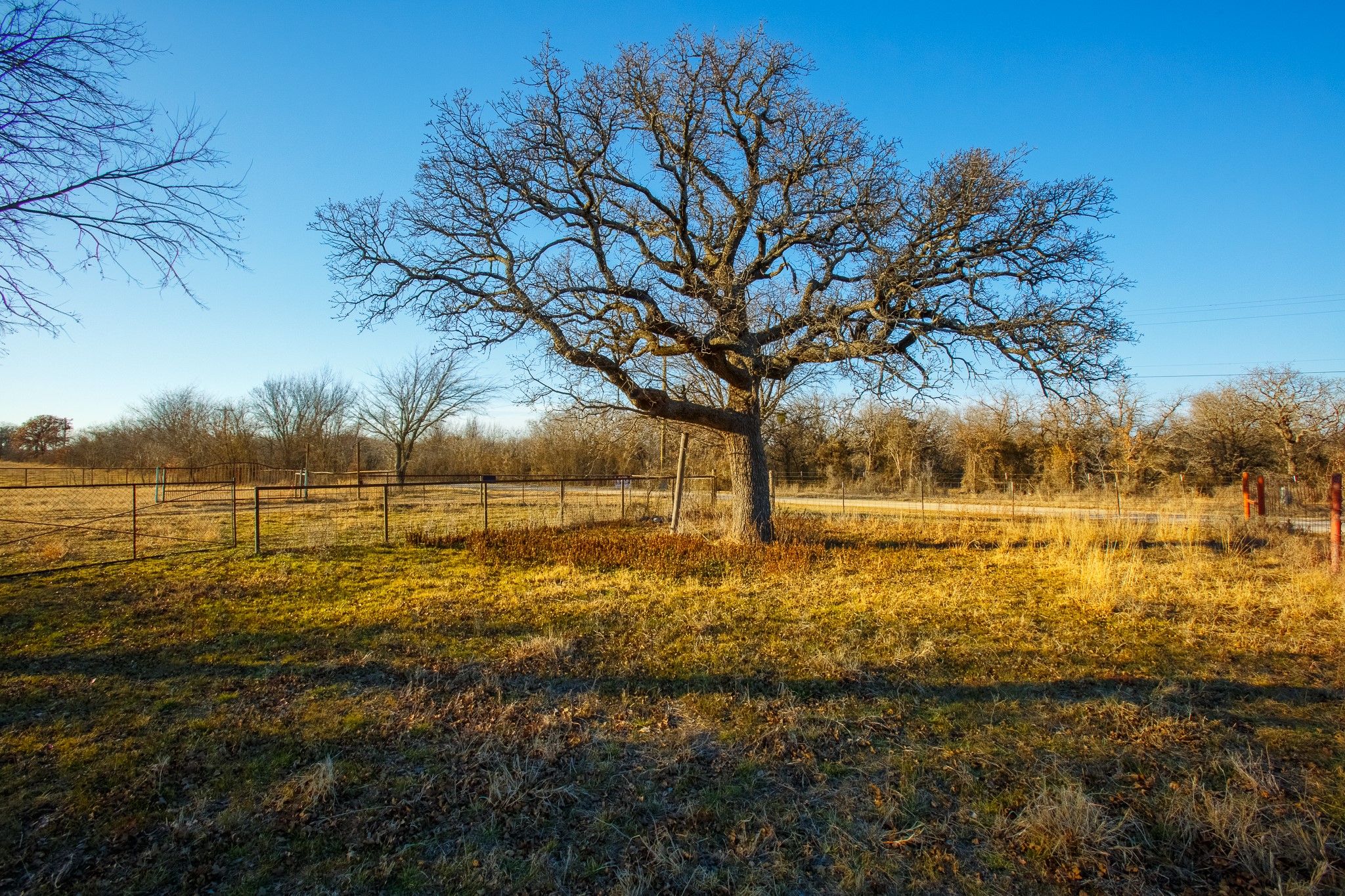 4312 Shawver Road Perrin TX 76486