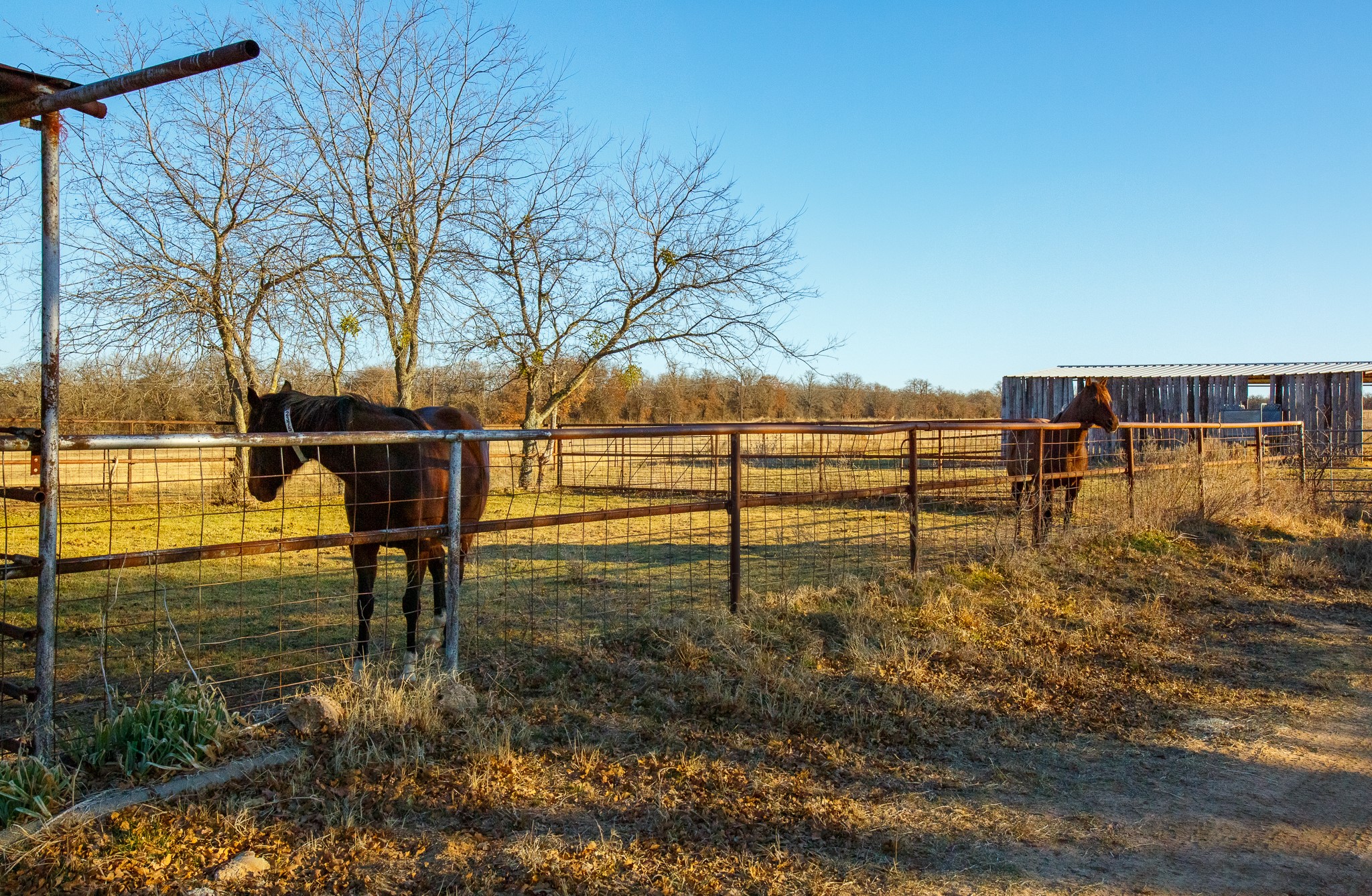 4312 Shawver Road Perrin TX 76486