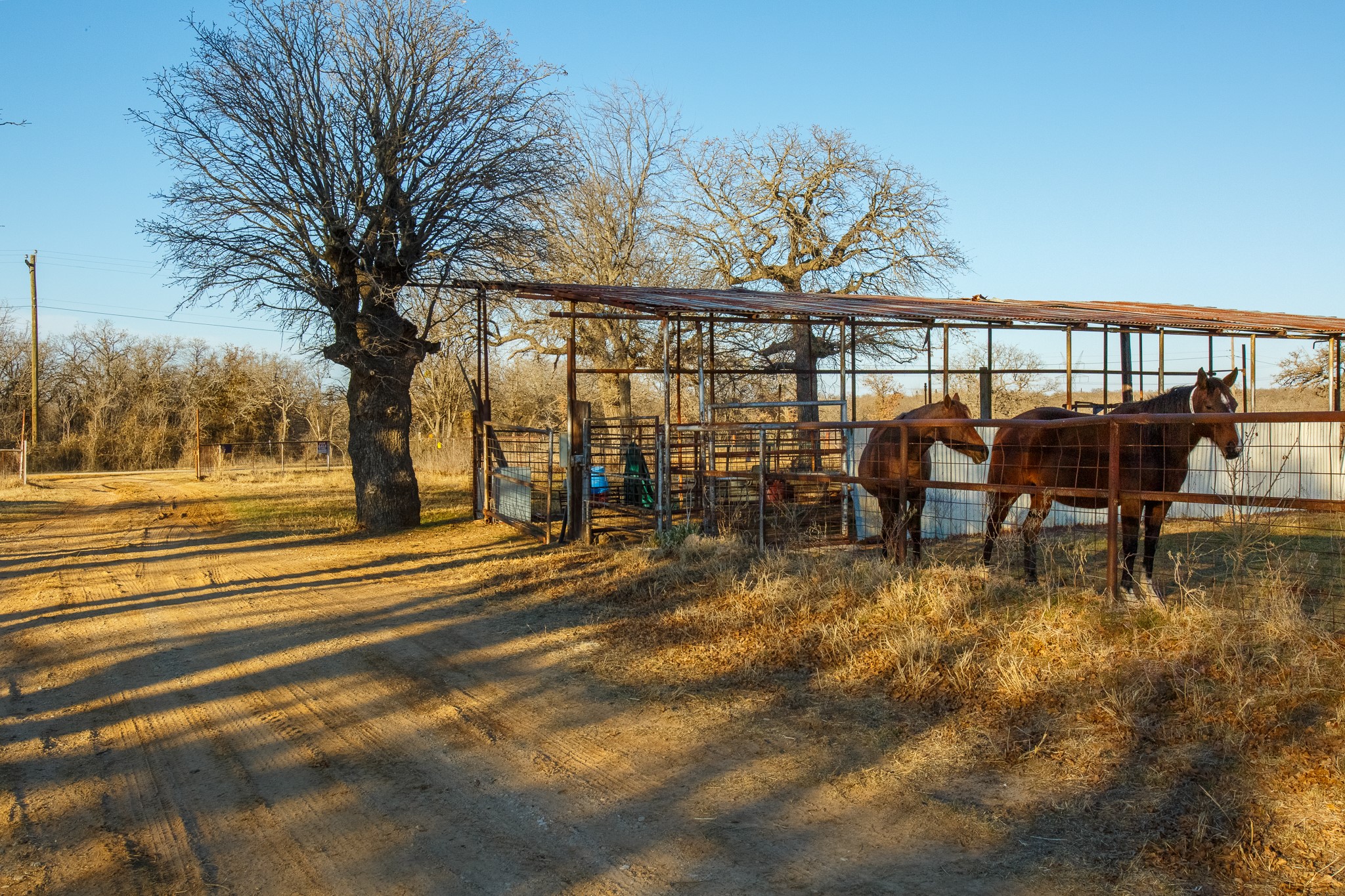 4312 Shawver Road Perrin TX 76486