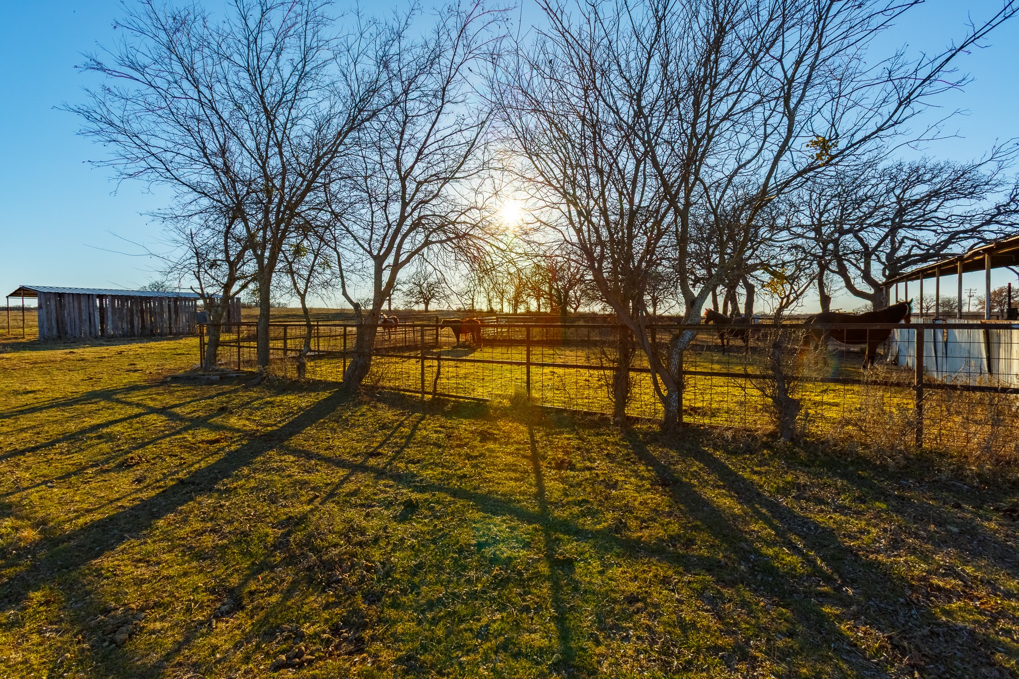4312 Shawver Road Perrin TX 76486