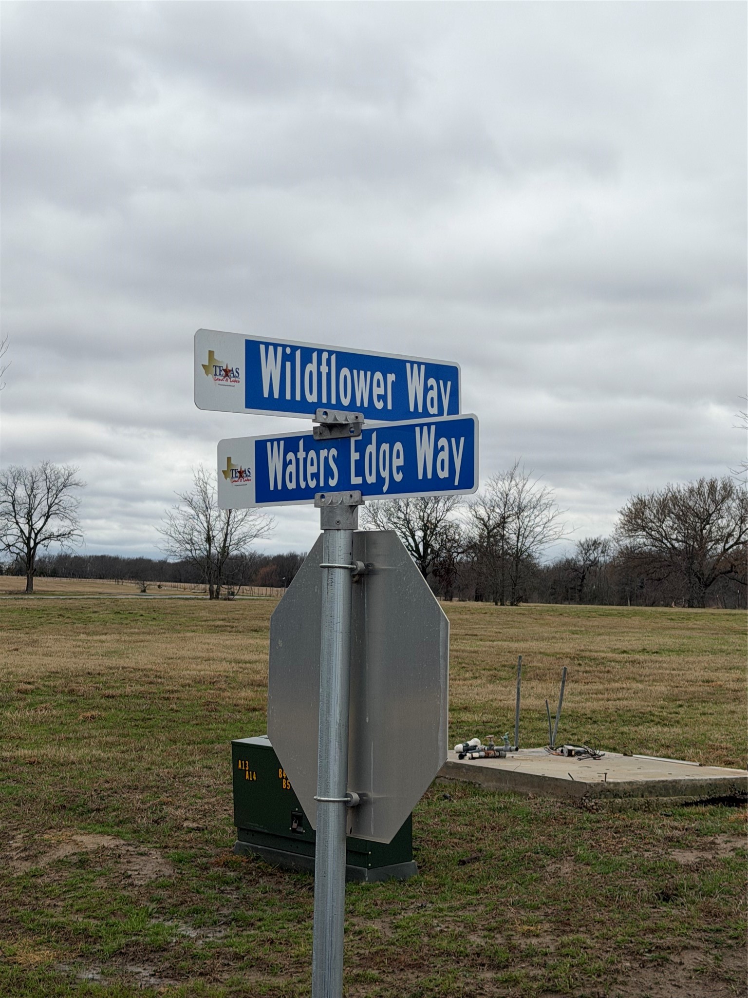 420 Wildflower Way Dodd City TX 75438