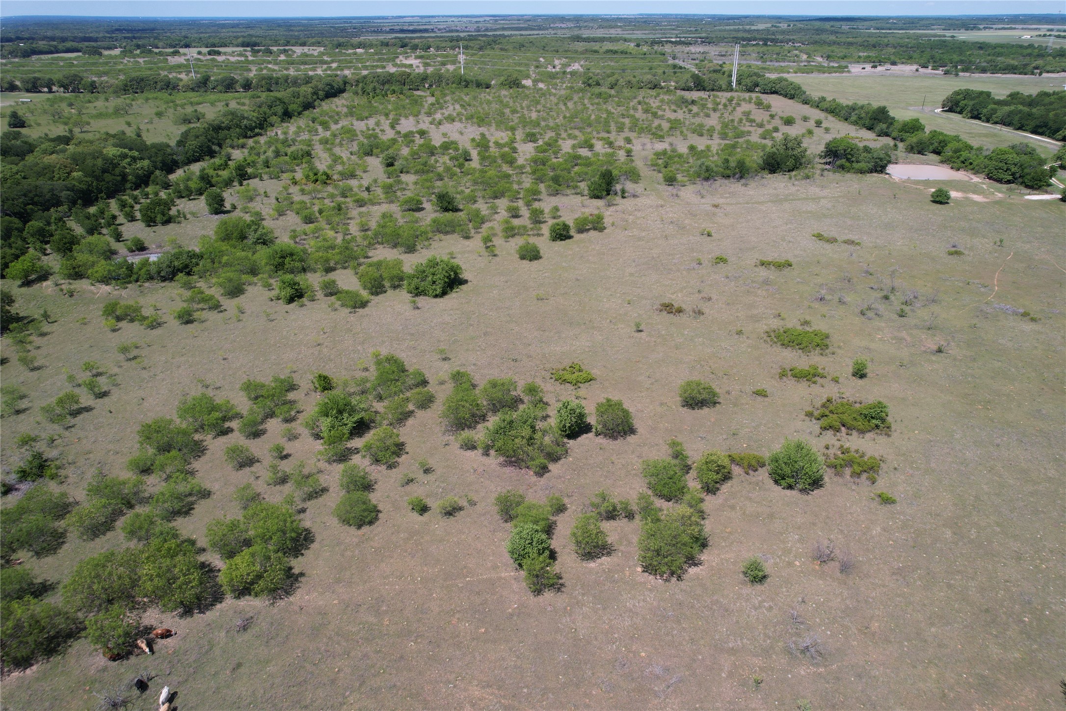 1331 Fm 1304 Aquilla TX 76622