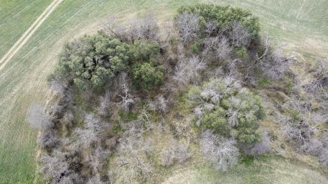 Tbd Cr 440 De Leon TX 76444