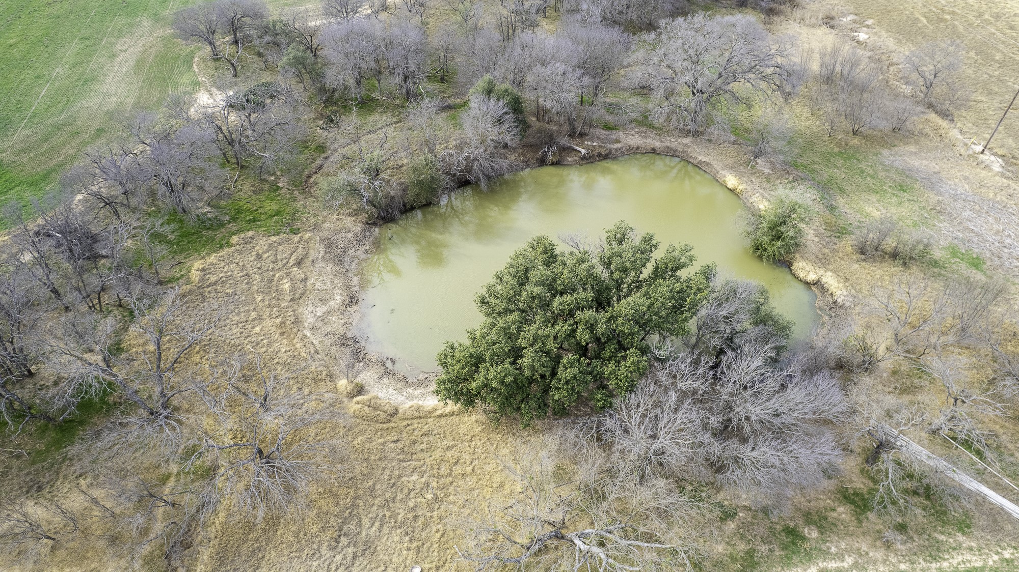 Tbd Cr 440 De Leon TX 76444
