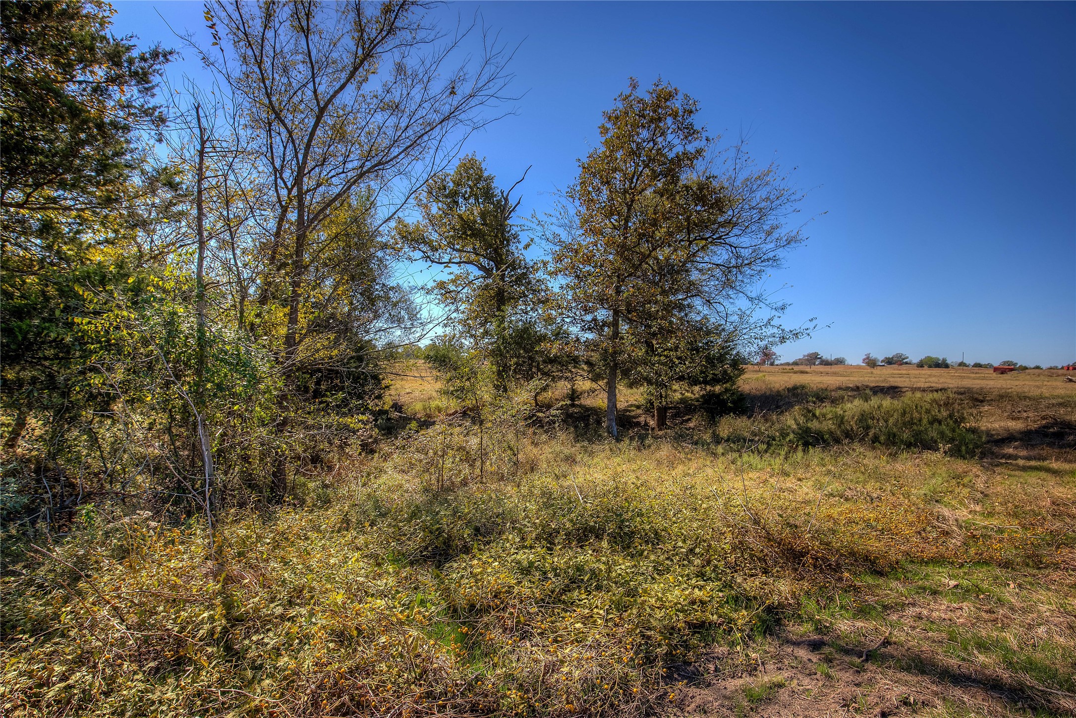 Tbd Tract B County Road 1468 Quitman TX 75783
