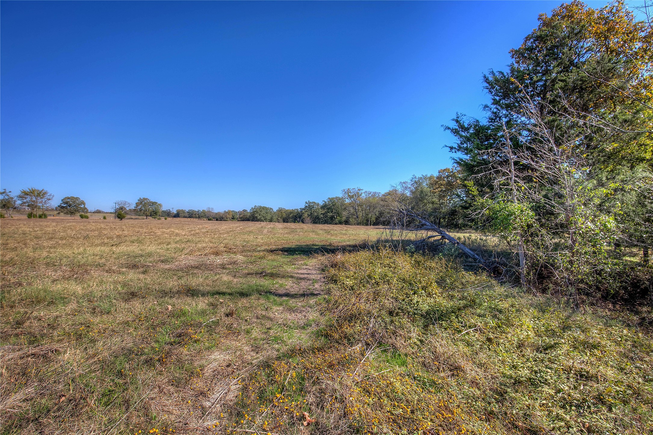 Tbd Tract B County Road 1468 Quitman TX 75783
