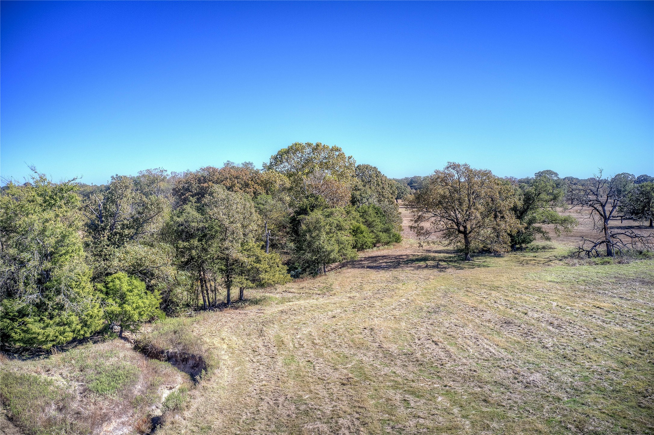 Tbd Tract B County Road 1468 Quitman TX 75783