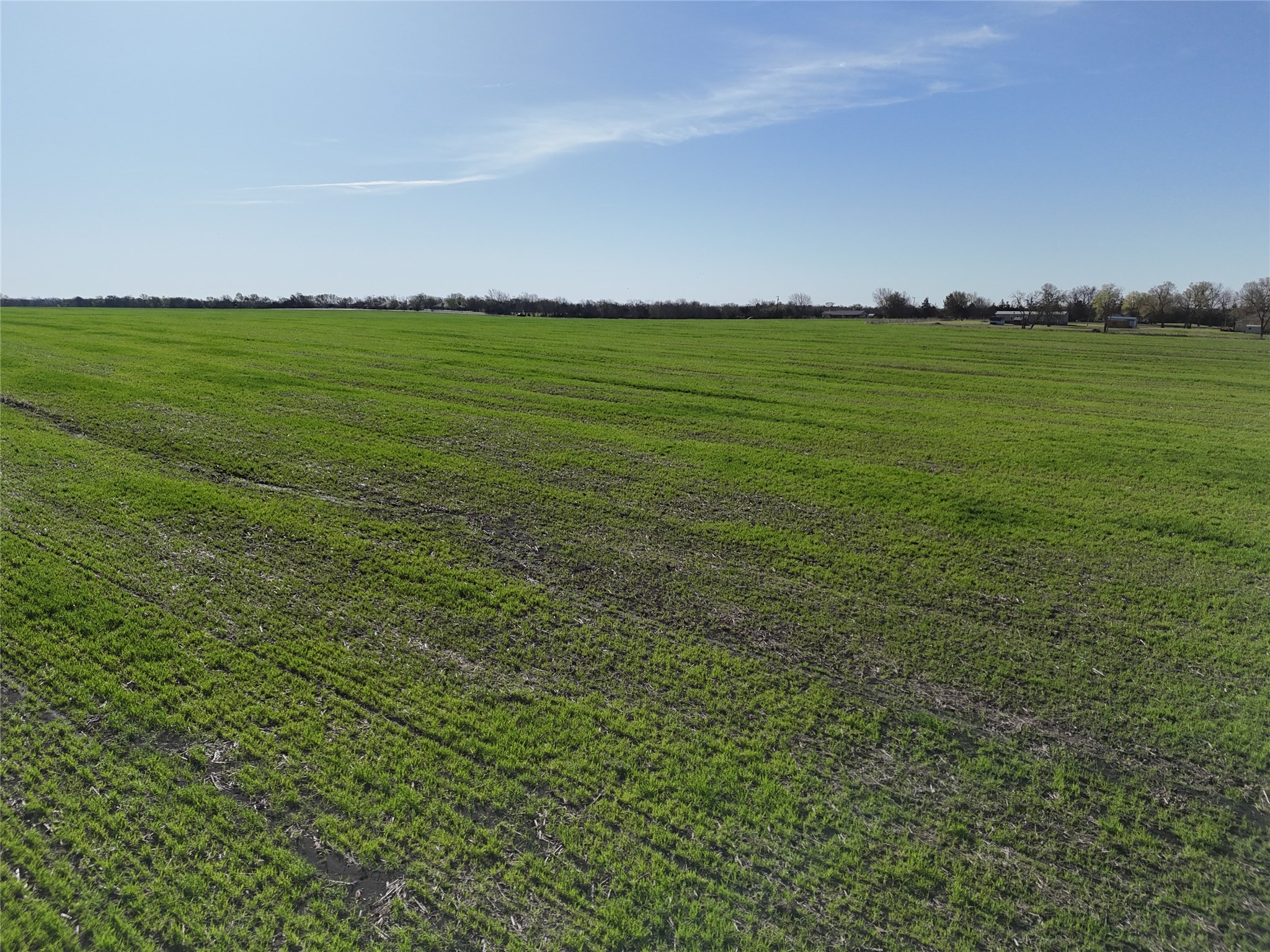 0041 Fm 198 Enloe TX 75441