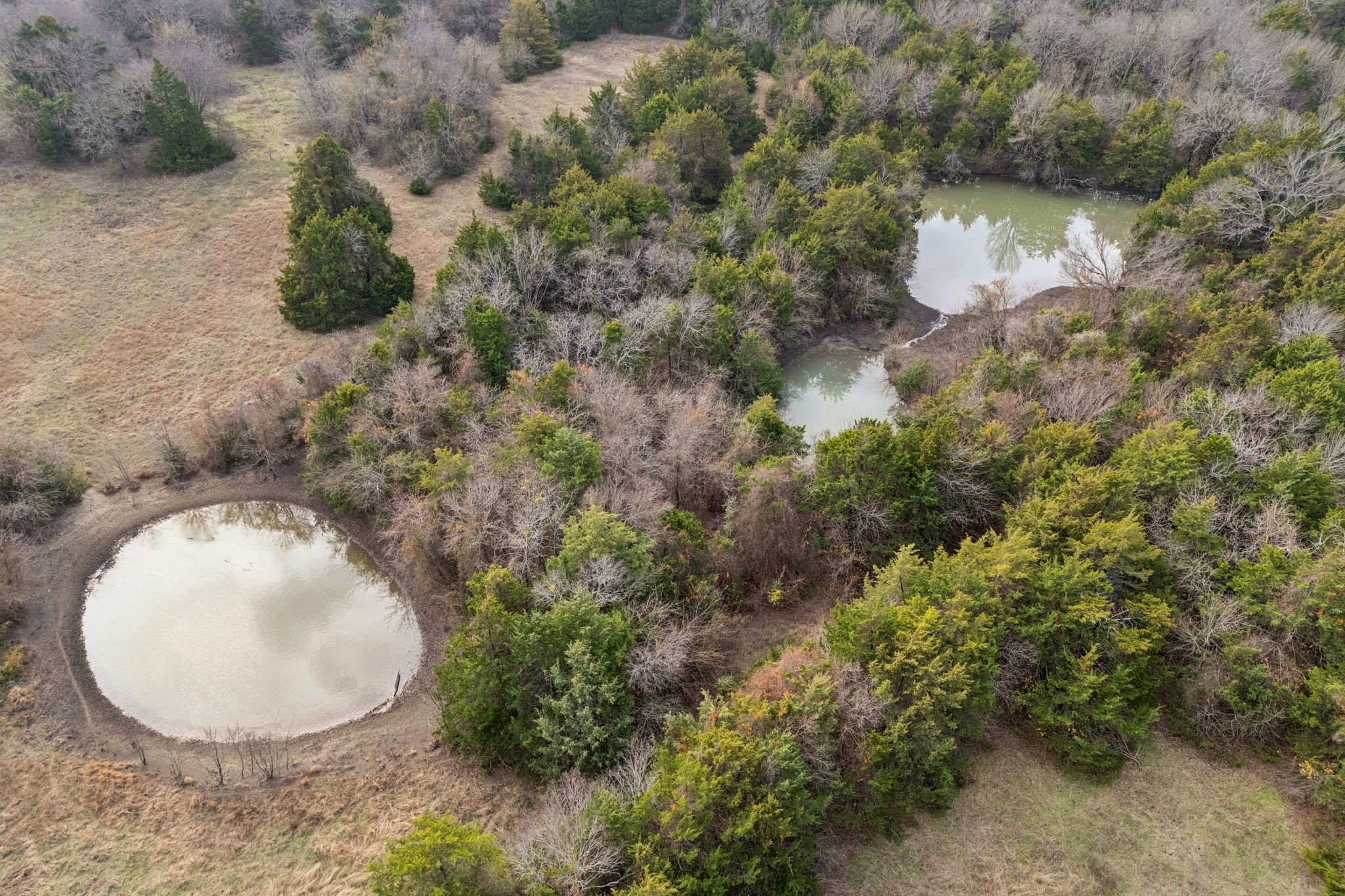 33.322476, -96.455342 Fm-2862 Anna TX 75409