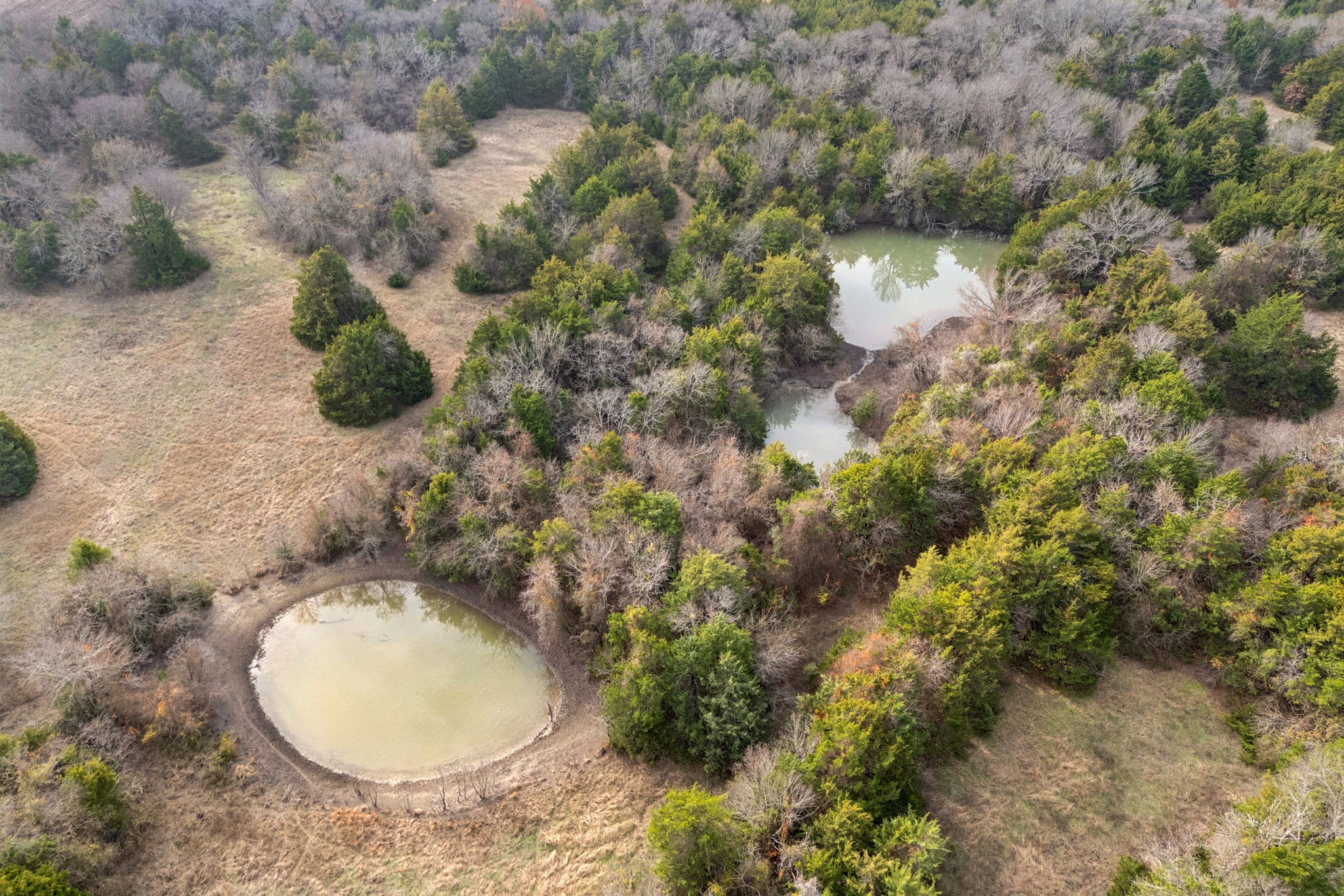 33.322476, -96.455342 Fm-2862 Anna TX 75409