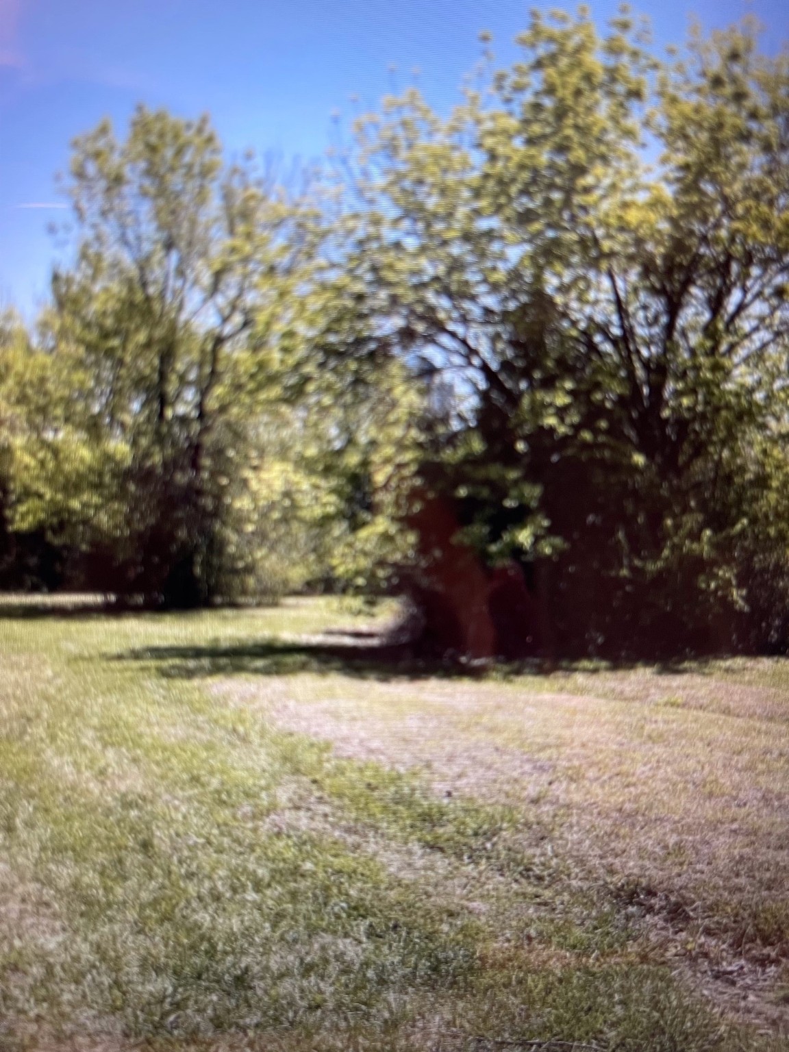 37 Hanna Cove Drive Denison TX 75020