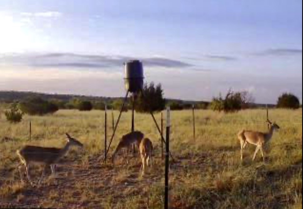 2592 County Road 610 Hamilton TX 76531
