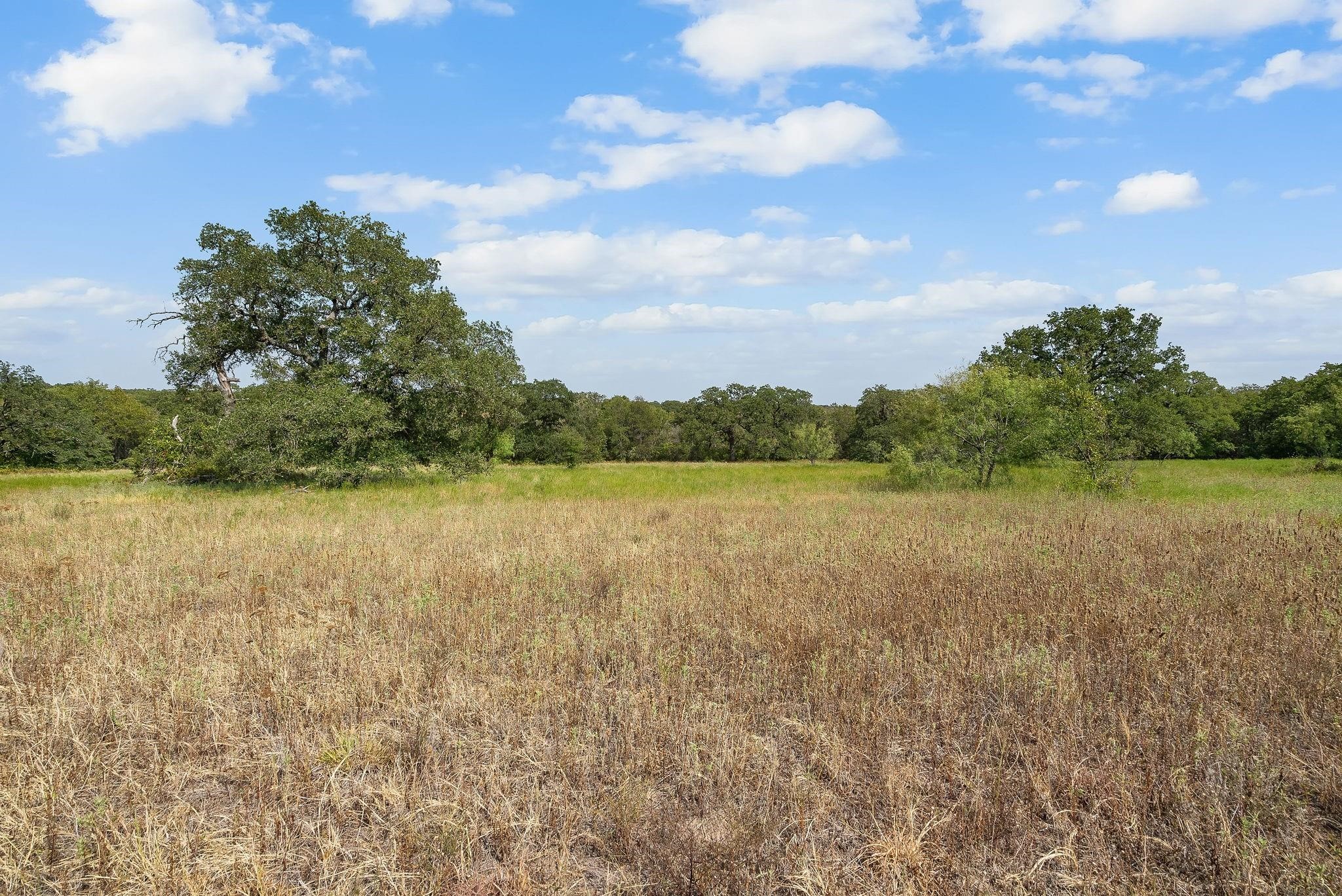 Lot 13 Double B Ranch Road S Perrin TX 76486