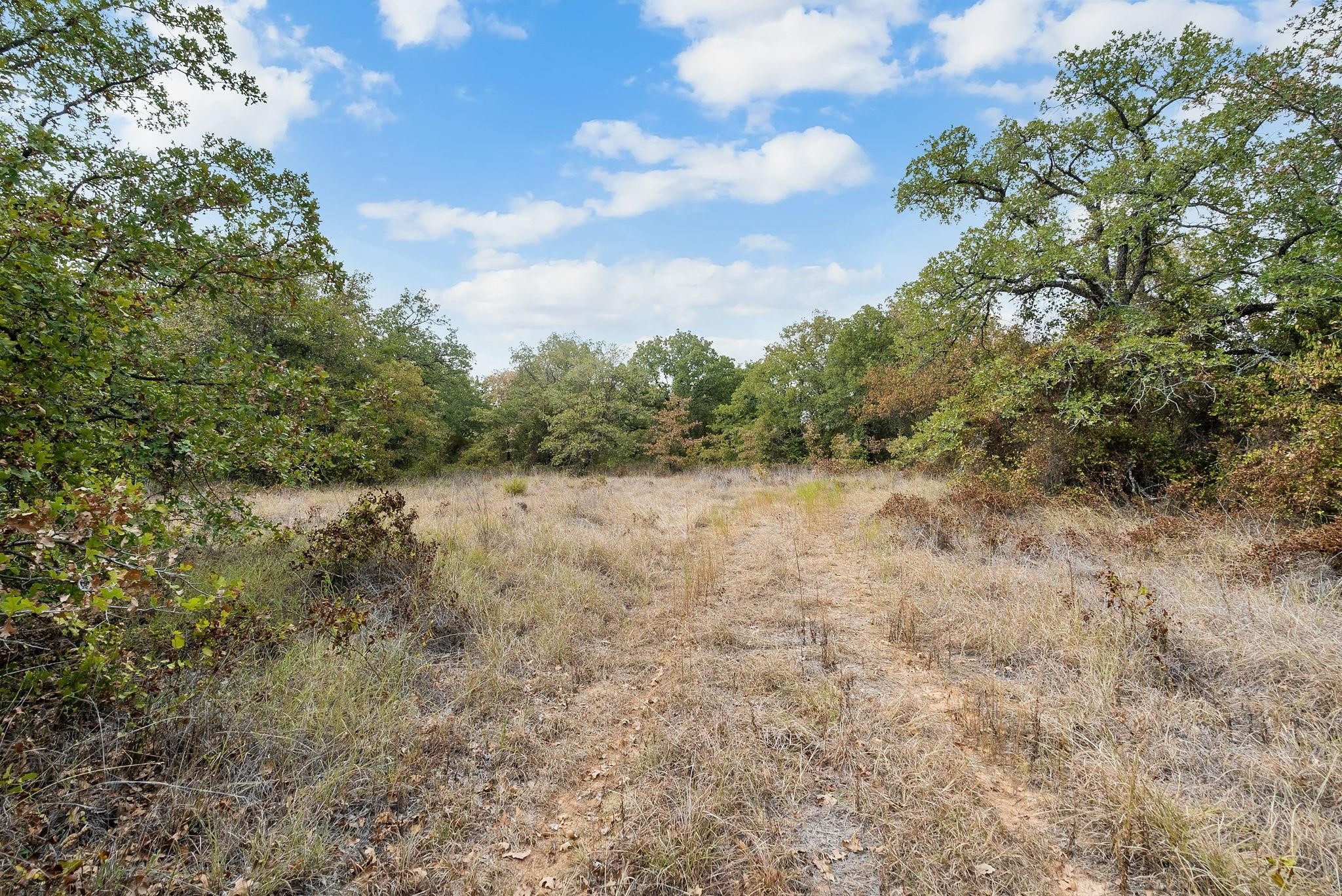 Lot 13 Double B Ranch Road S Perrin TX 76486