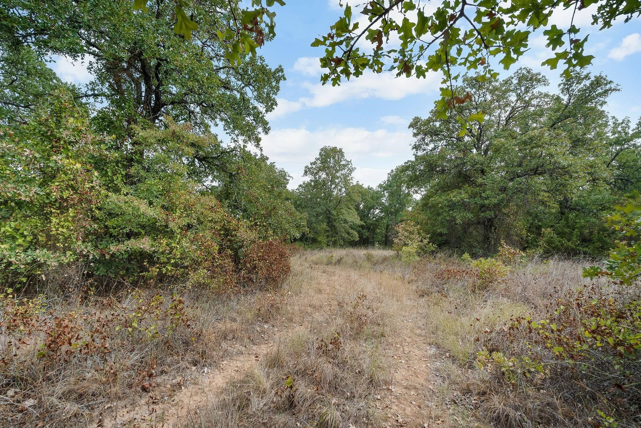 Lot 13 Double B Ranch Road S Perrin TX 76486