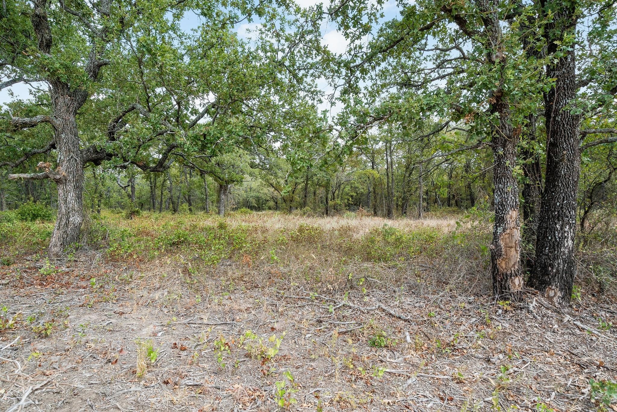 Lot 13 Double B Ranch Road S Perrin TX 76486