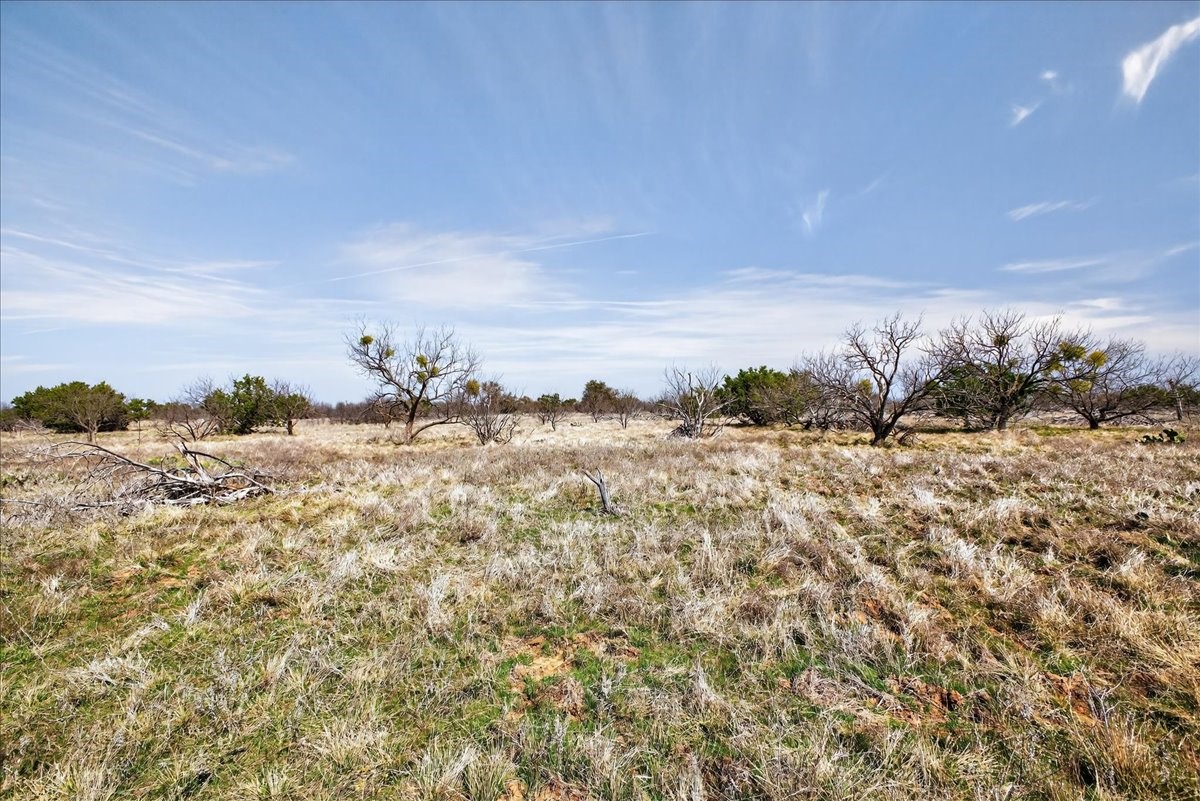 4140 N State Highway 16 Highway N Graford TX 76449