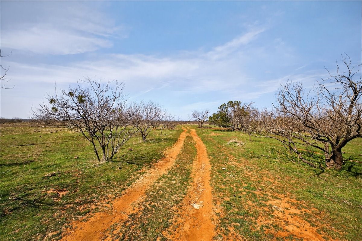 4140 N State Highway 16 Highway N Graford TX 76449