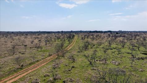 4140 N State Highway 16 Highway N Graford TX 76449