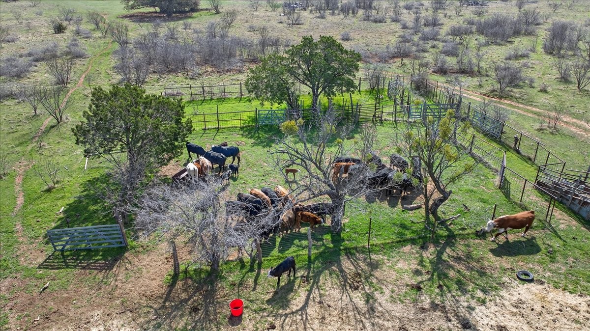 4140 N State Highway 16 Highway N Graford TX 76449