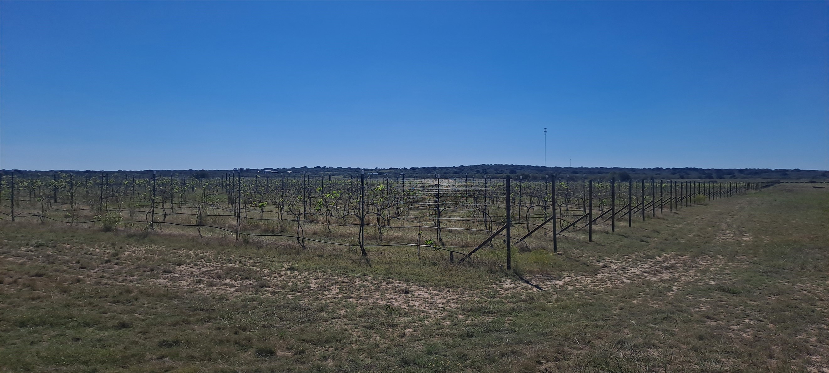 809 Coyote Trail Richland Springs TX 76871