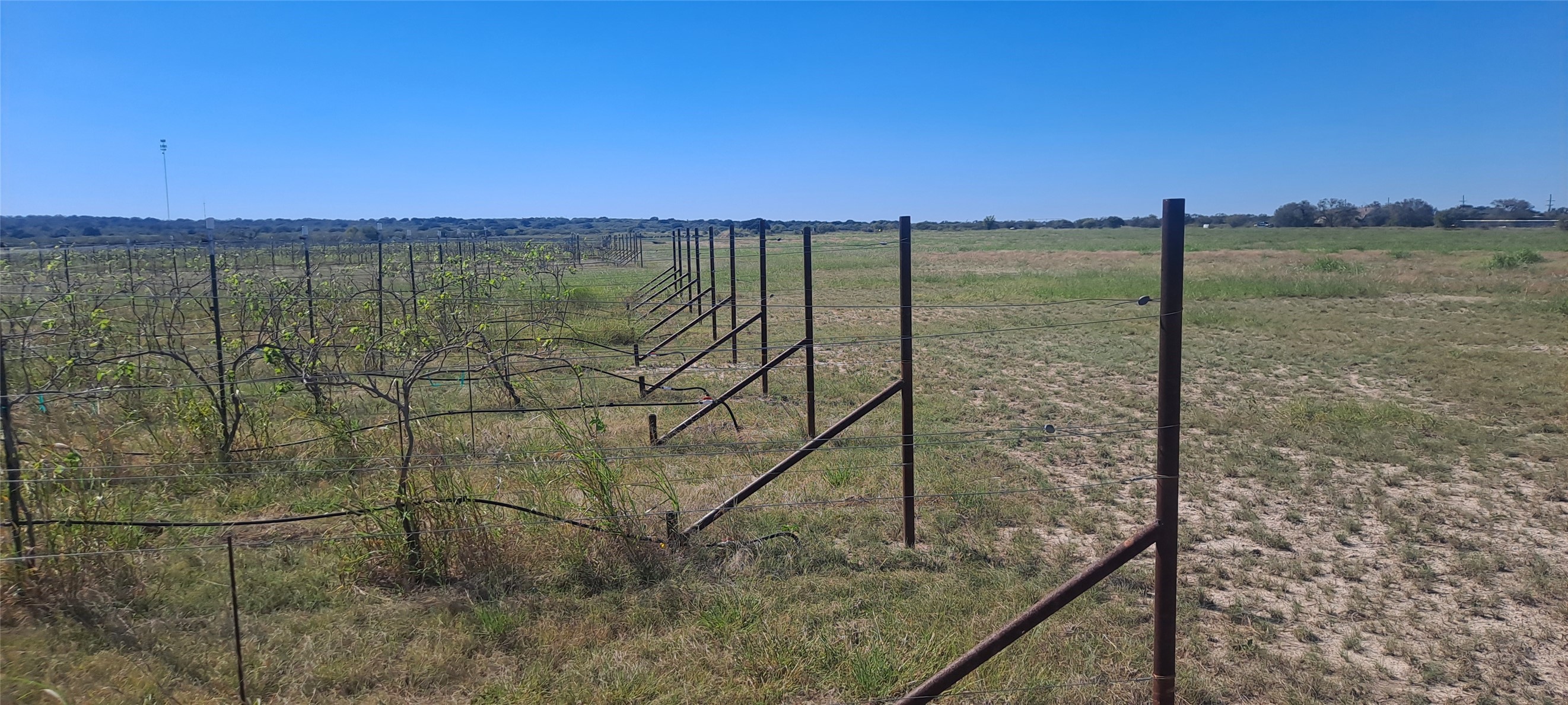 809 Coyote Trail Richland Springs TX 76871