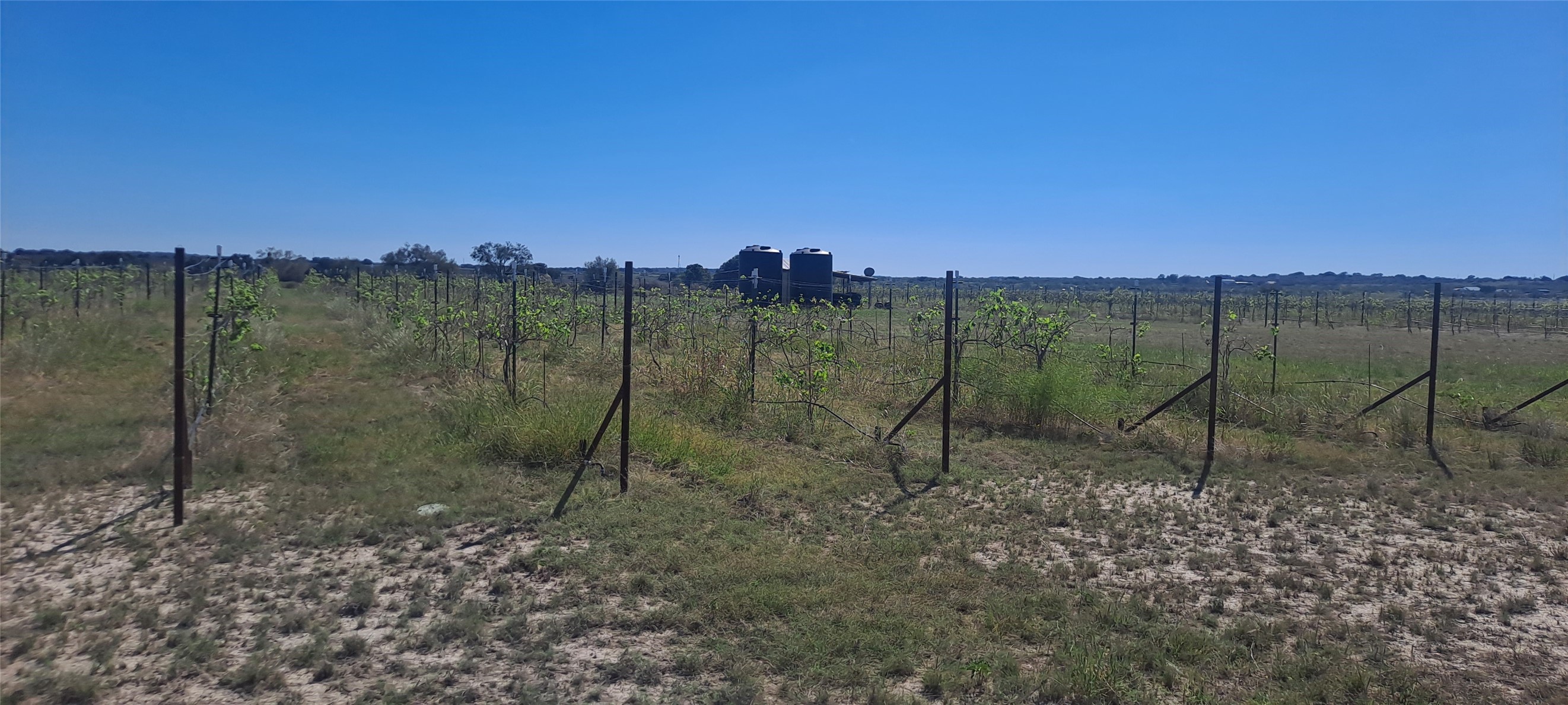 809 Coyote Trail Richland Springs TX 76871