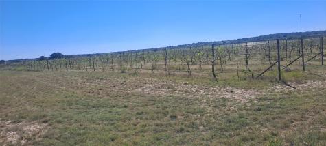 809 Coyote Trail Richland Springs TX 76871