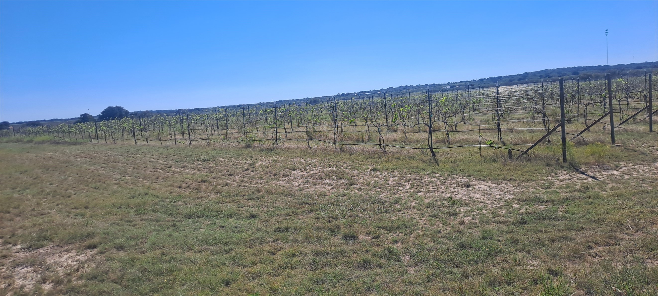 809 Coyote Trail Richland Springs TX 76871