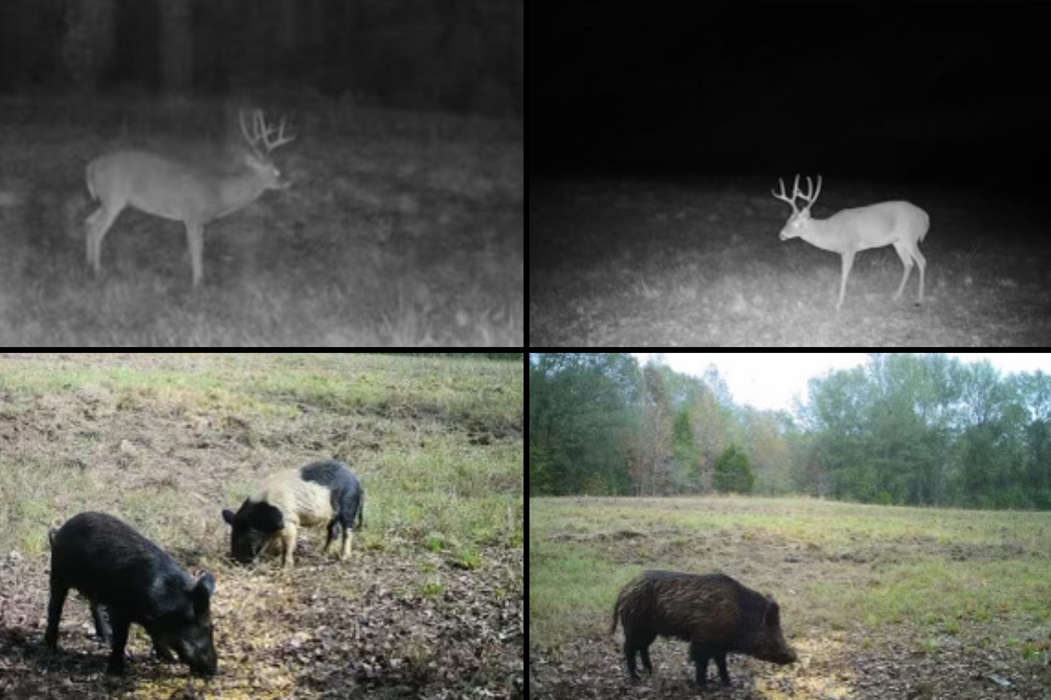 00 Hwy 69 / Cr 484 Mineola TX 75773