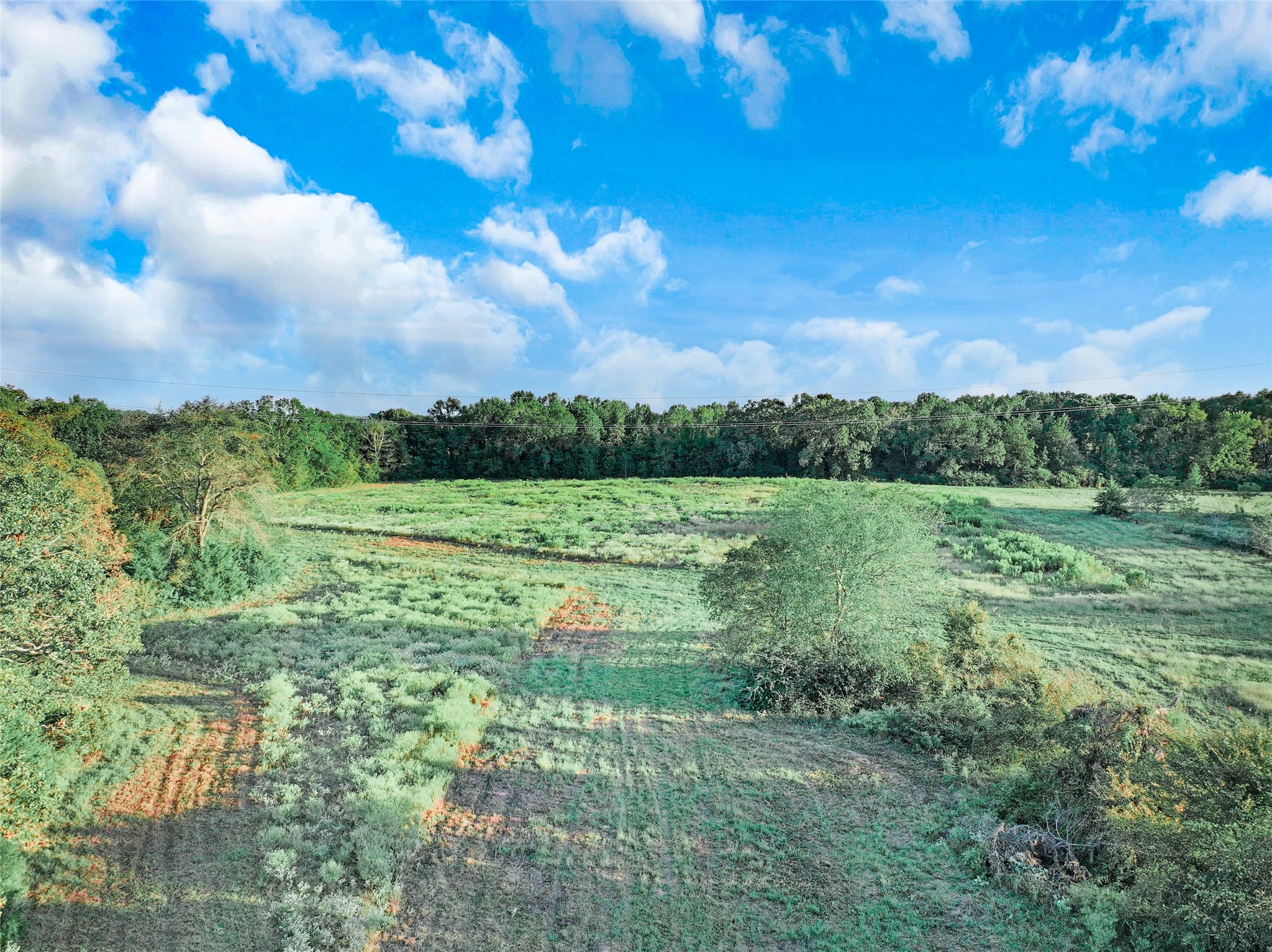 6408 Us Highway 259 N Naples TX 75568