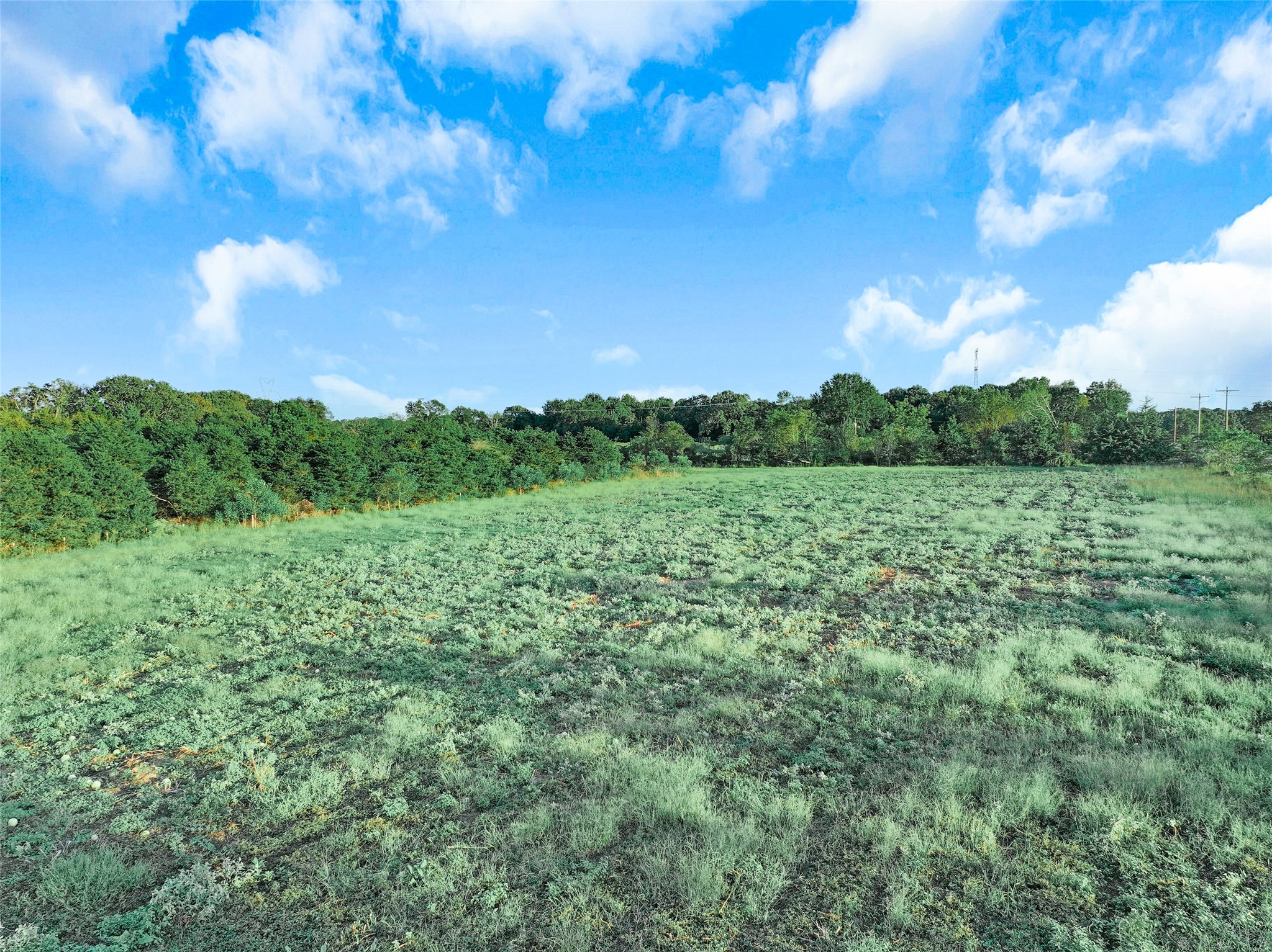 6408 Us Highway 259 N Naples TX 75568