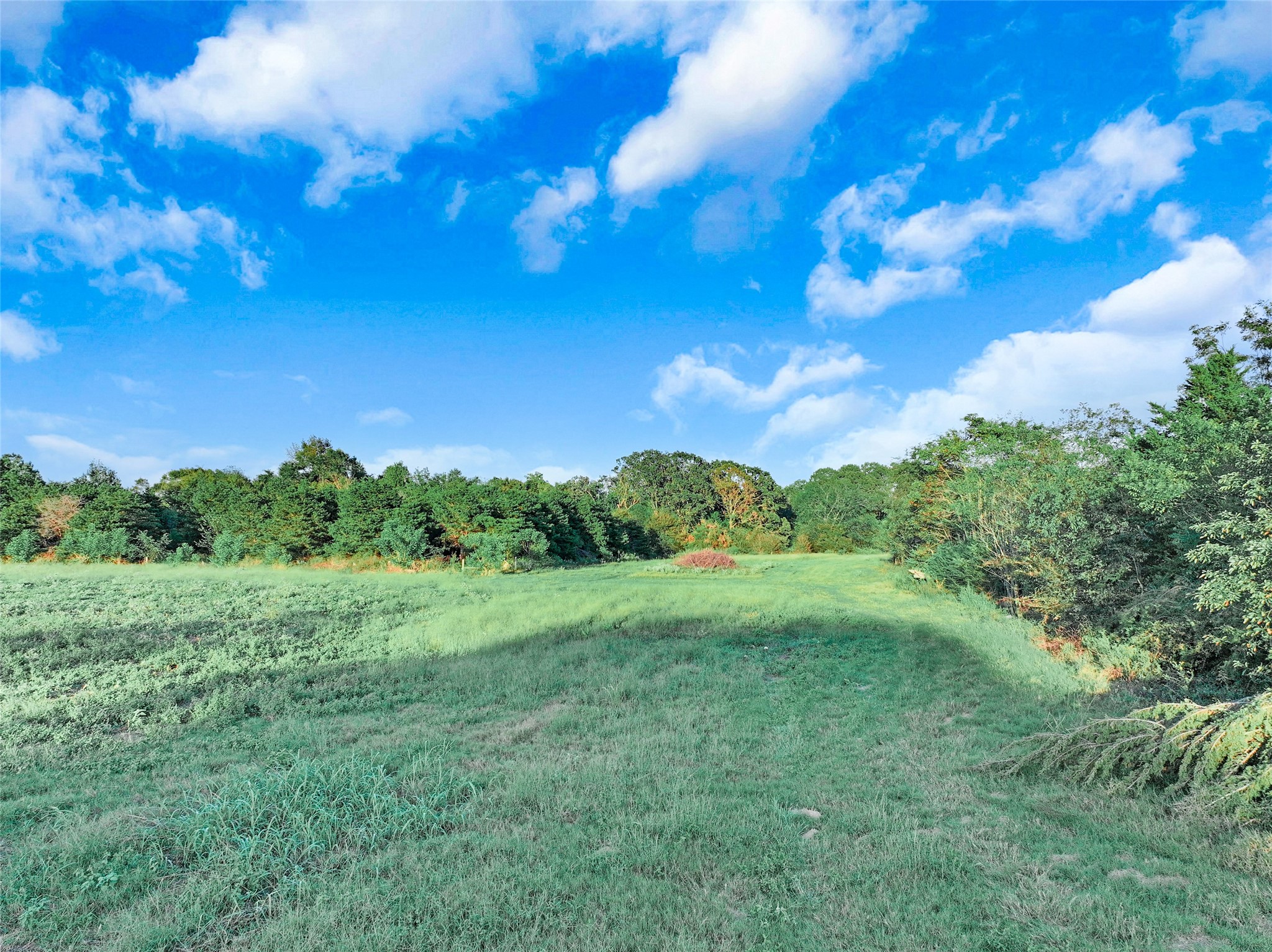 6408 Us Highway 259 N Naples TX 75568