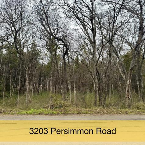 3203 Persimmon Road Dallas TX 75241