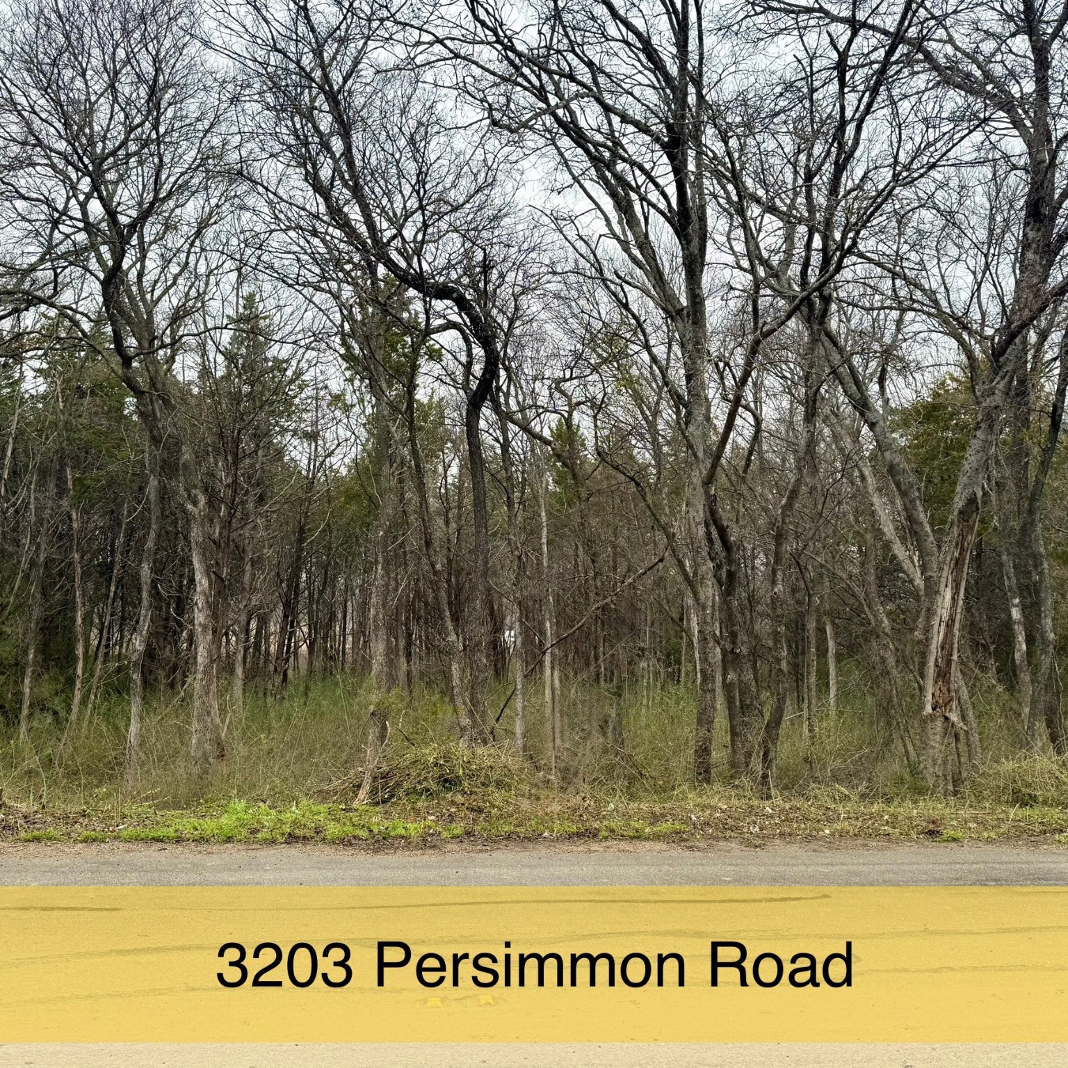 3203 Persimmon Road Dallas TX 75241