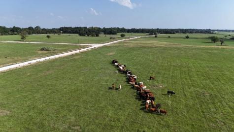 P2L14 County Road 463 Mexia TX 76667
