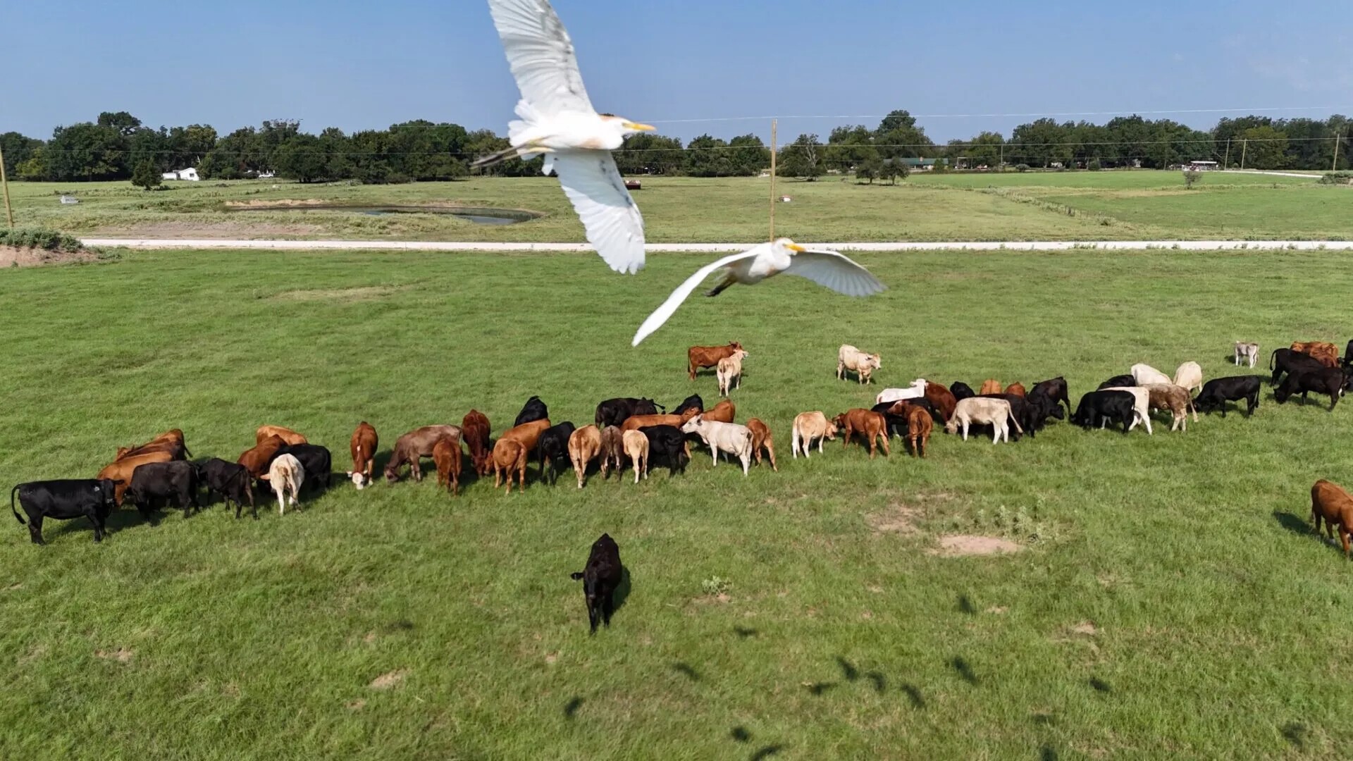 P2L14 County Road 463 Mexia TX 76667