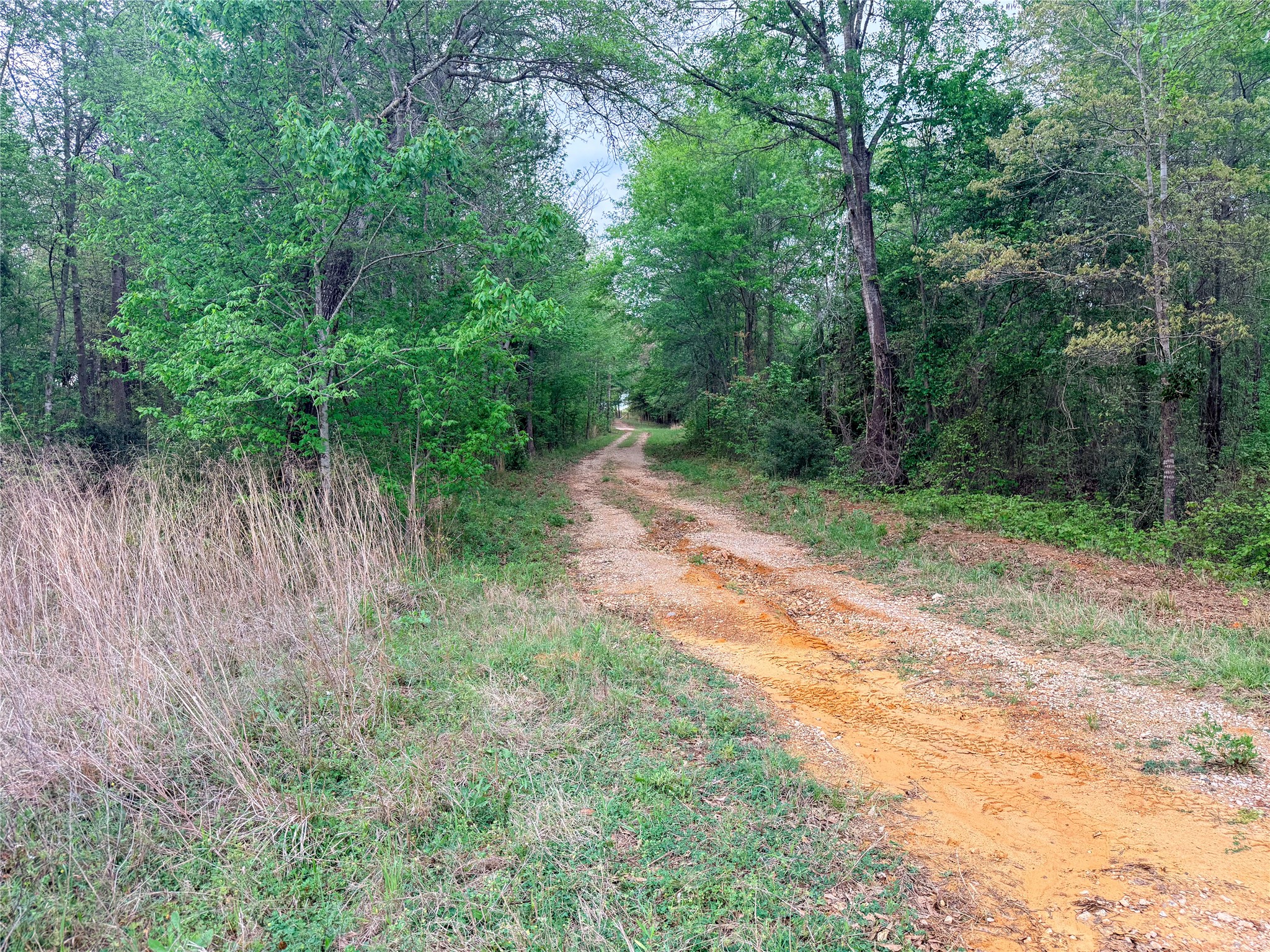 000 Fm 838 Overton TX 75684