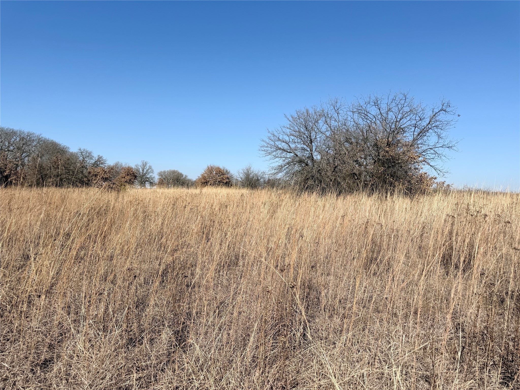 10 Aurora Court Nocona TX 76255