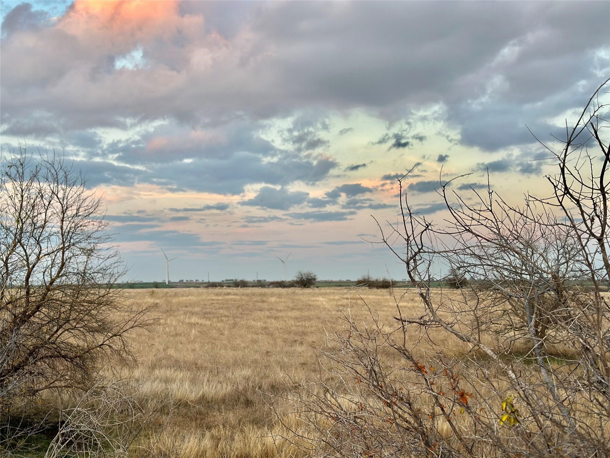 96.8 Acres County Road 353 Gainesville TX 76240